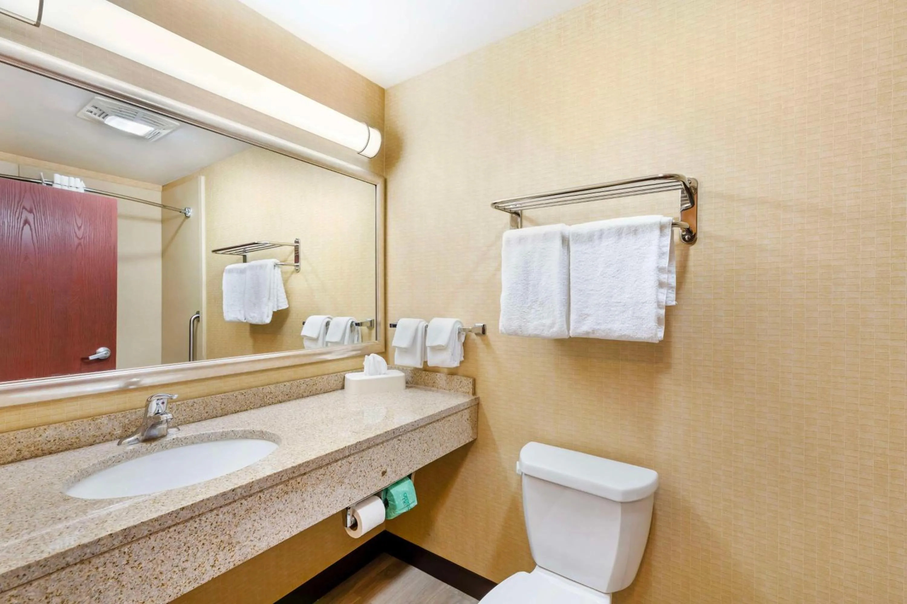 Bathroom in Best Western PLUS Victor Inn & Suites