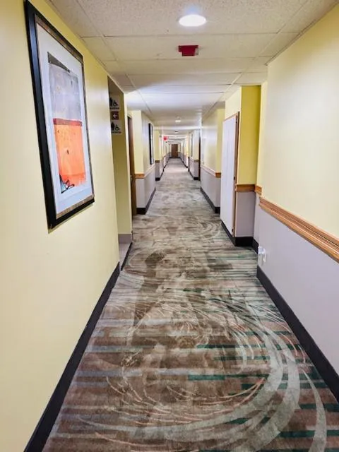 Super 8 by Wyndham Branson By Andy Williams Theatre