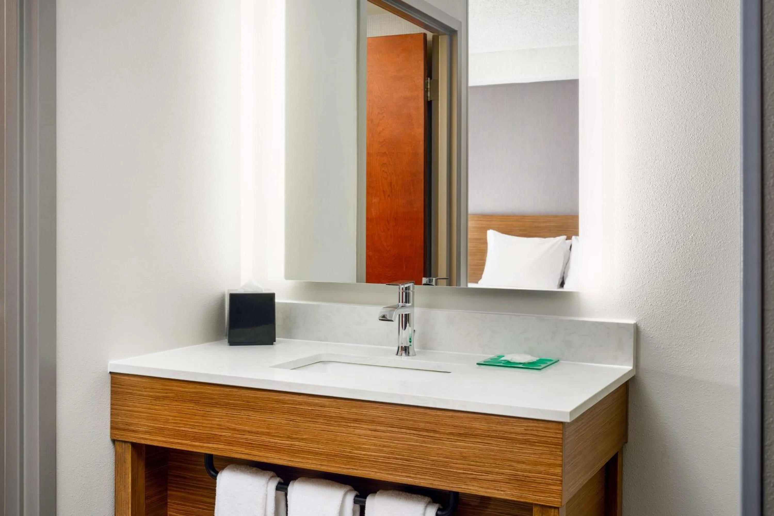 Bathroom in Hyatt Place Greensboro