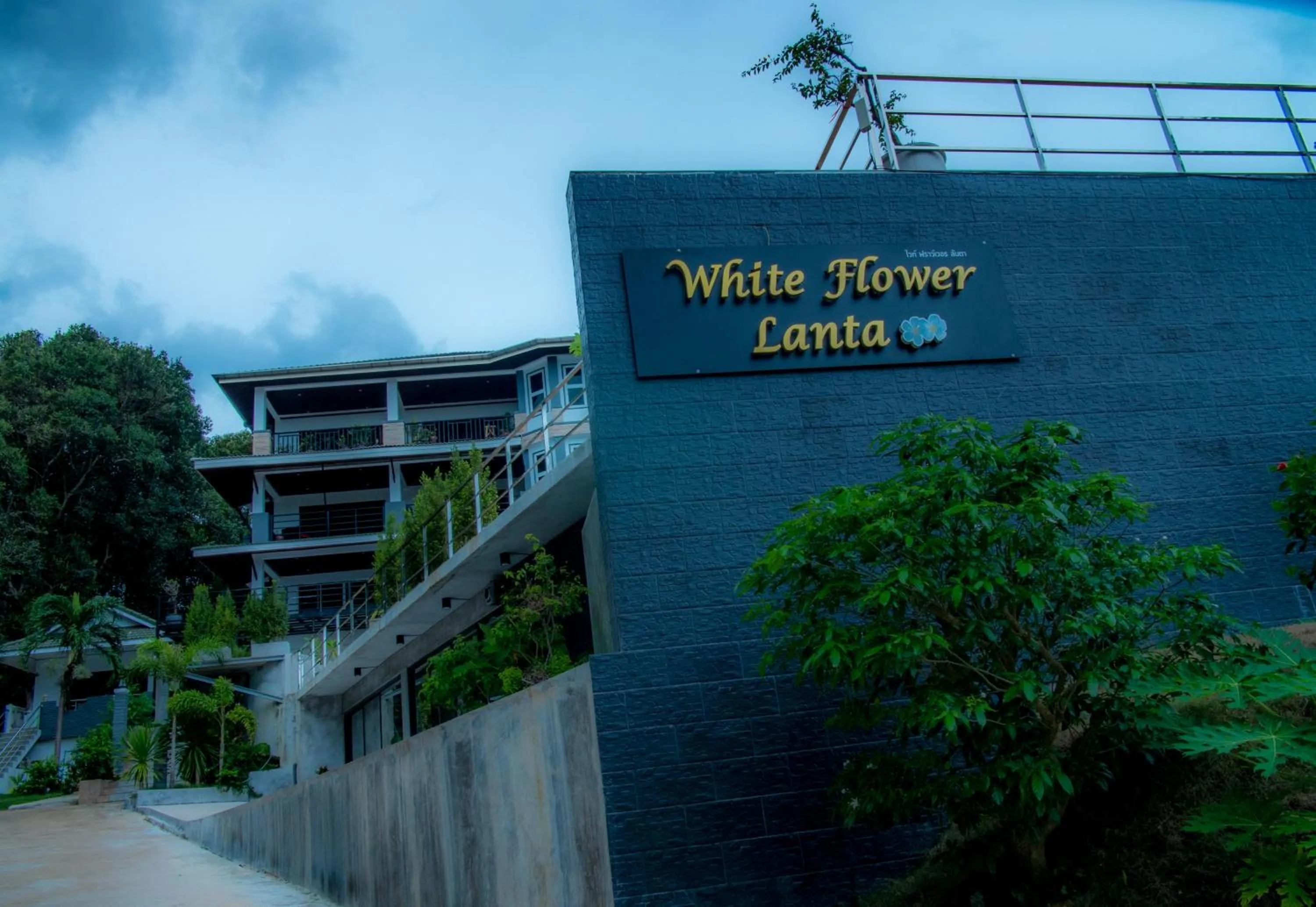 Property building in White Flower Lanta