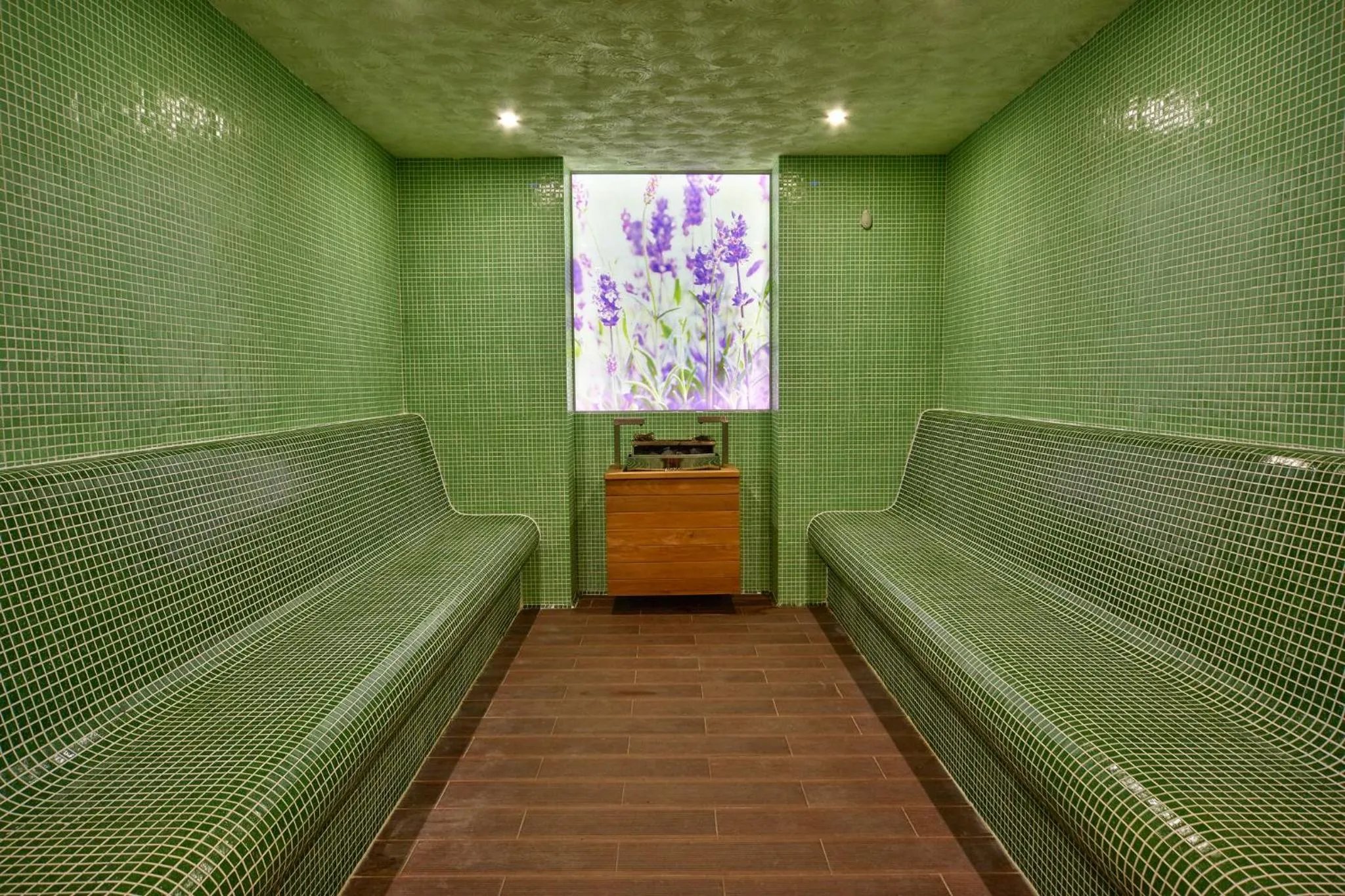 Spa and wellness centre/facilities in Grand Hotel Velingrad