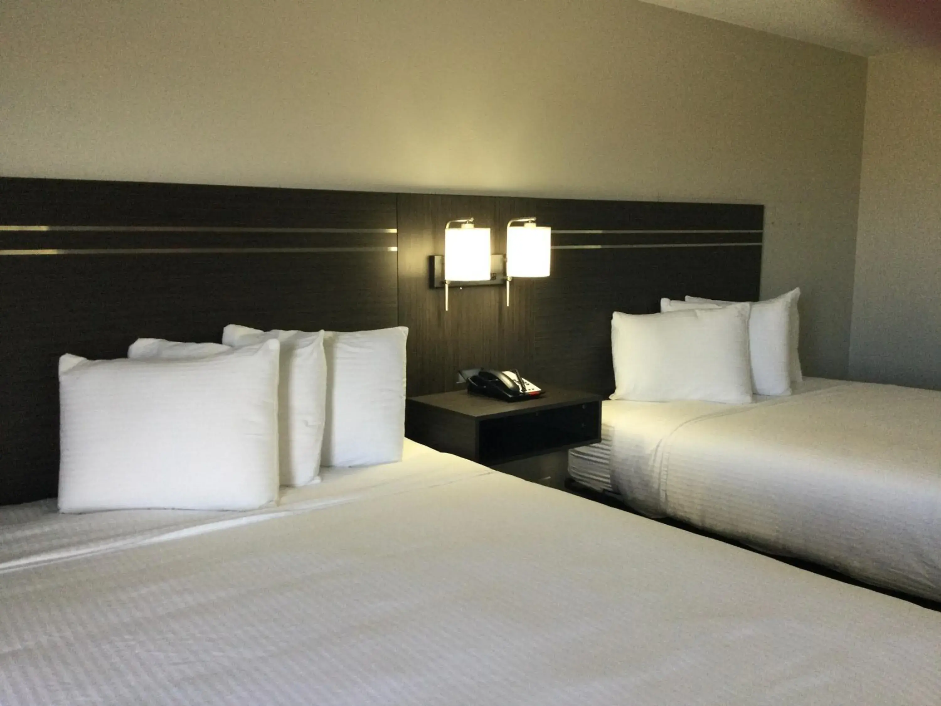 Bed in Americas Best inn Bed in Americas Best inn