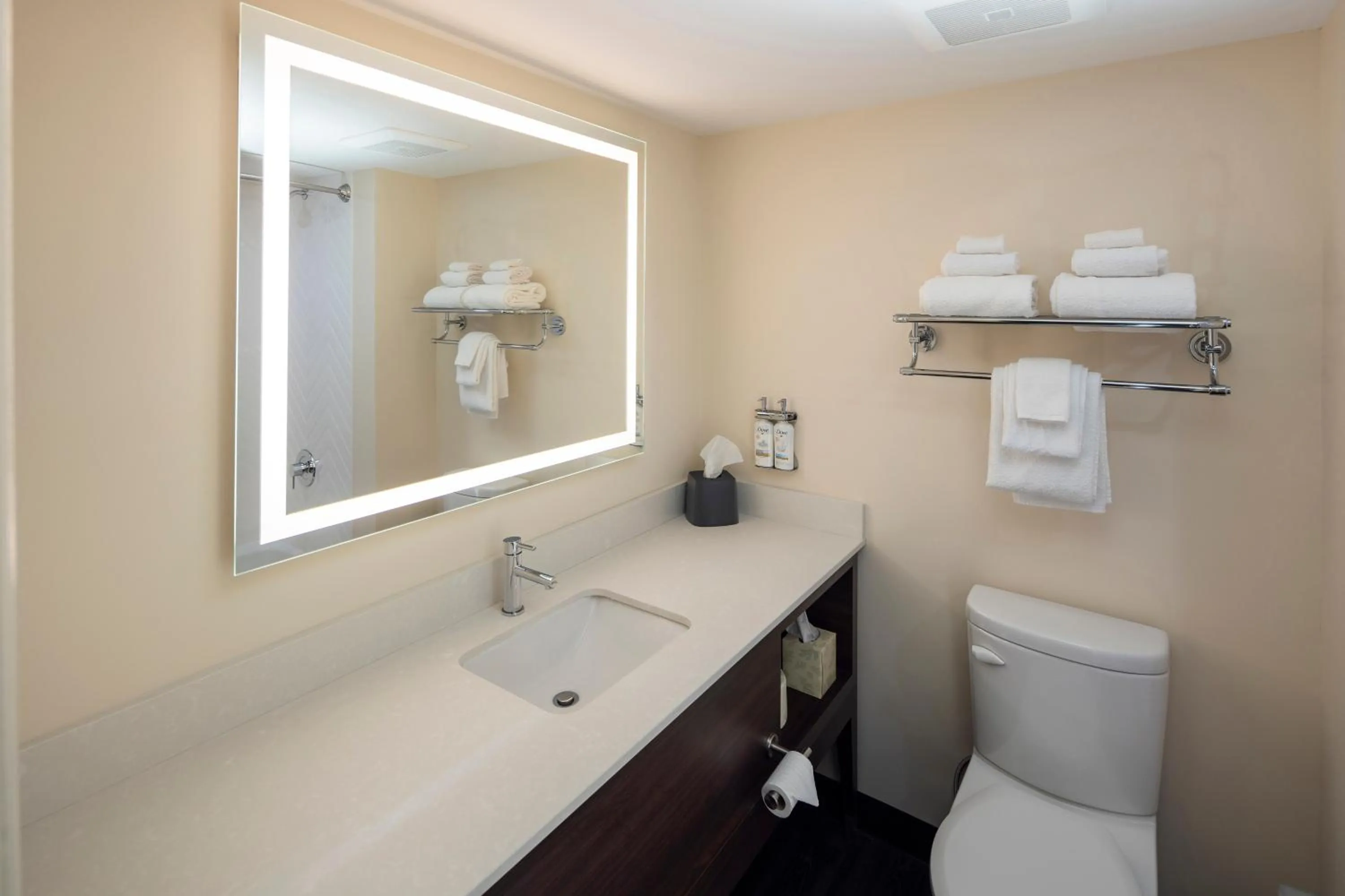 Bathroom in Holiday Inn Victoria - Elk Lake by IHG