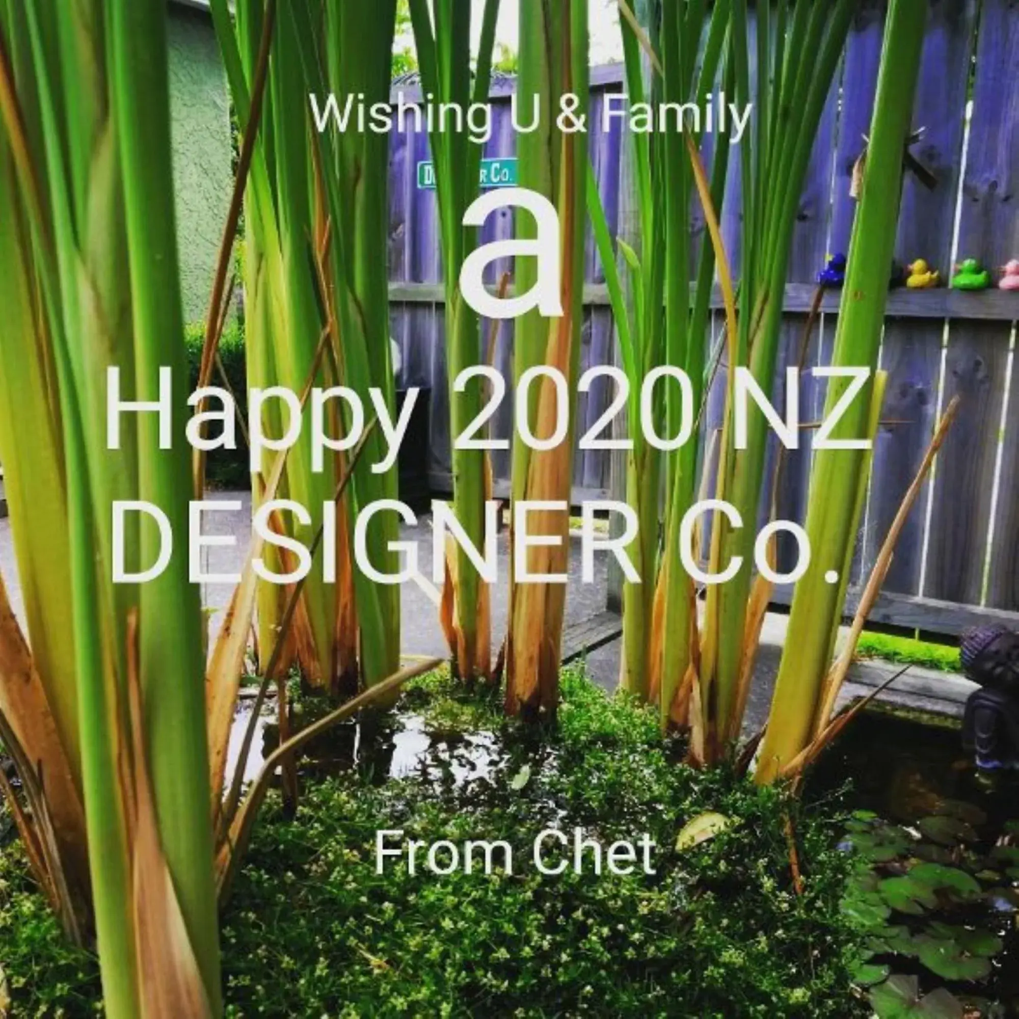 Designer Cottage Designer Cottage