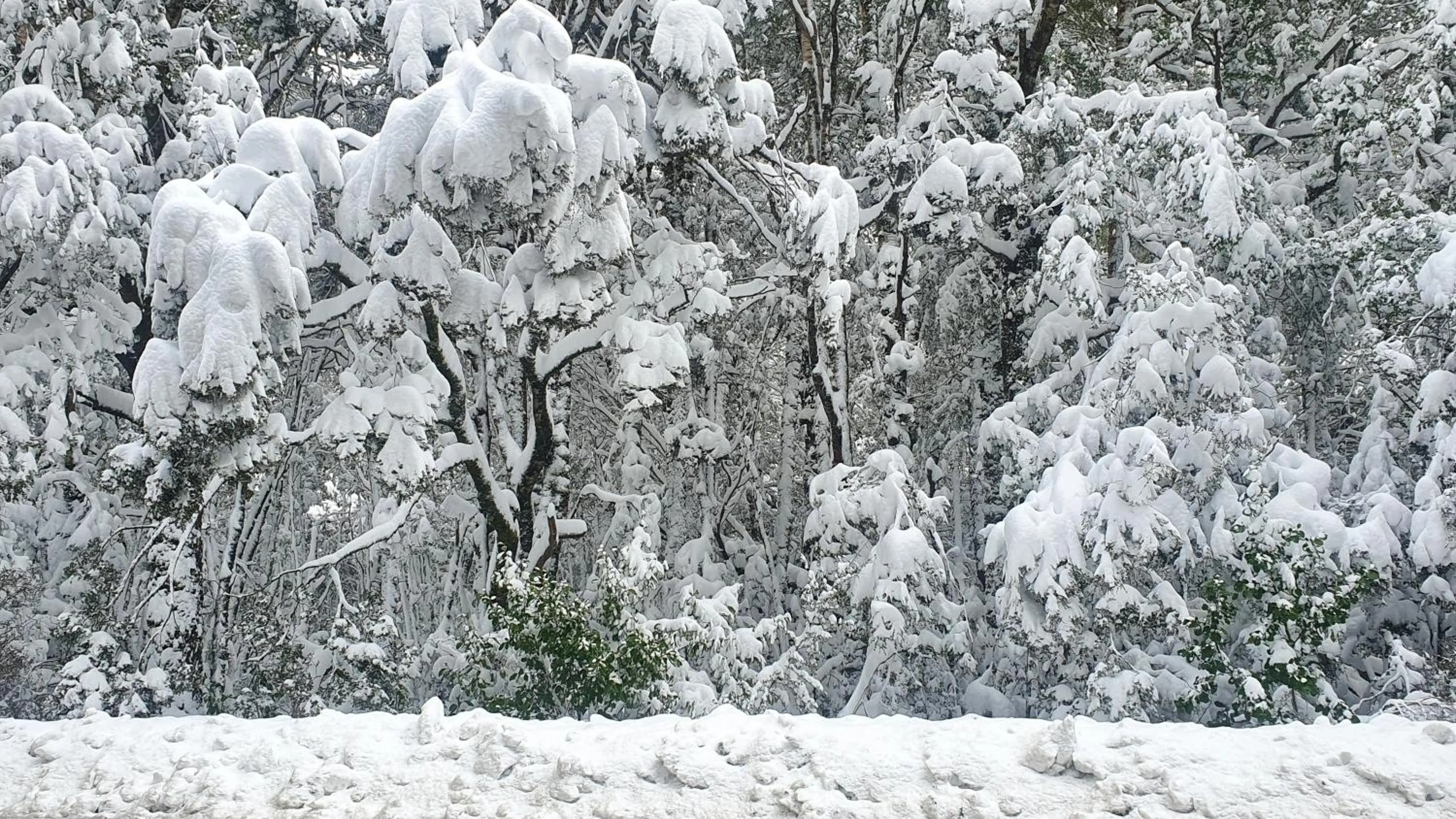 Off The Beaten Trail Acc & Bike Tours