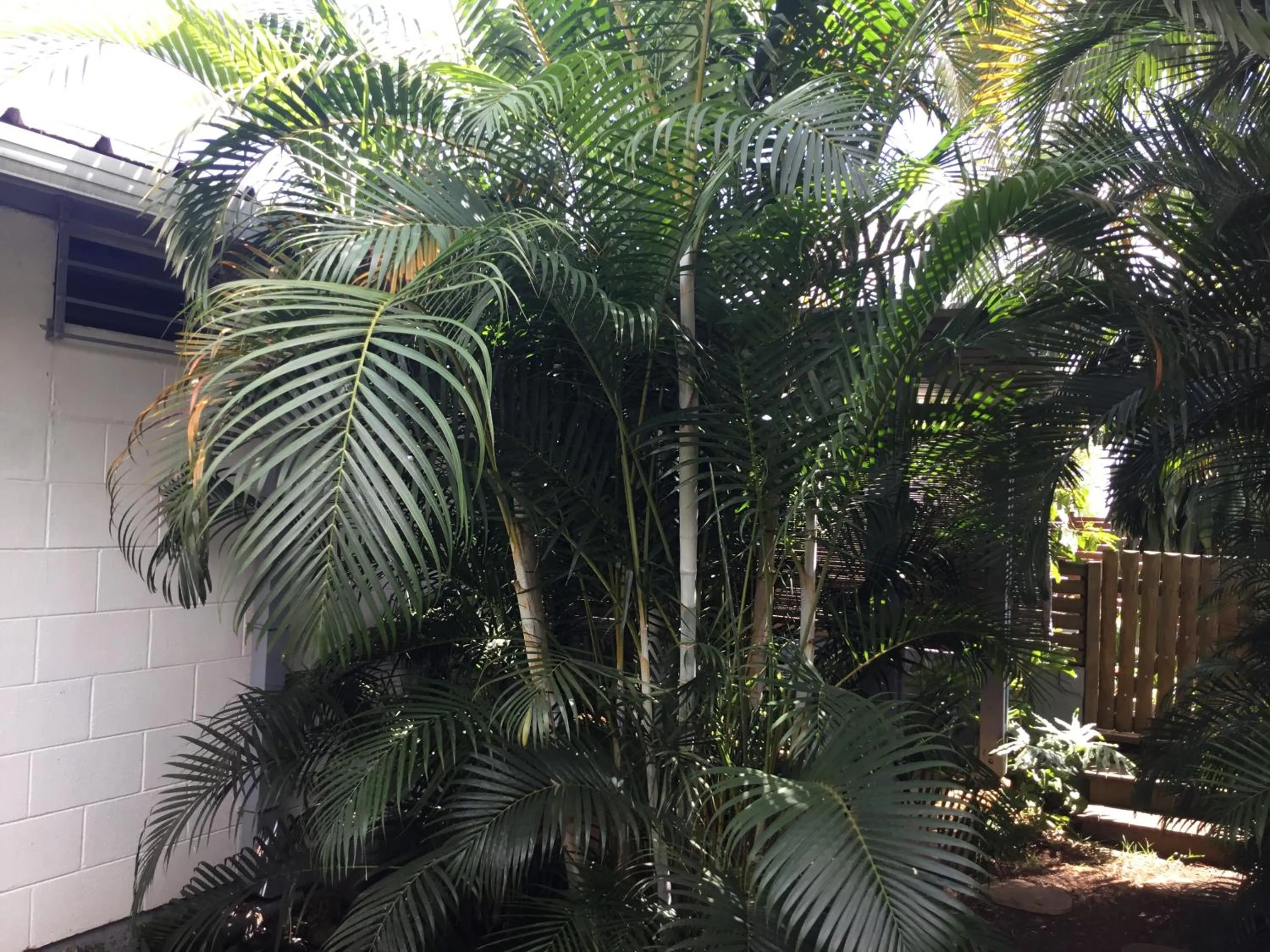 Garden view in Villa Deluy