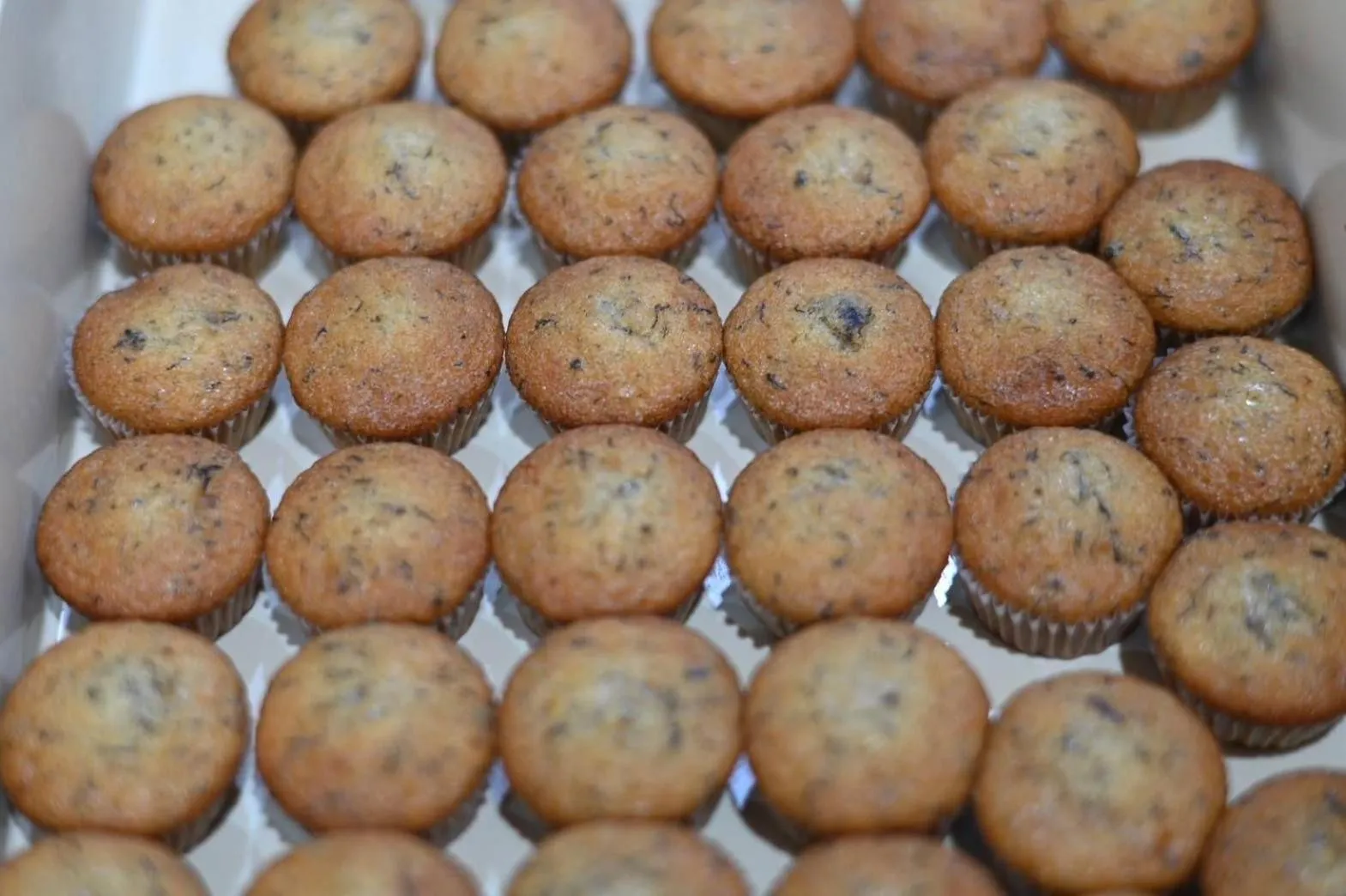 Restaurant/places to eat in Mansion Sarasinee @ Chatuchak