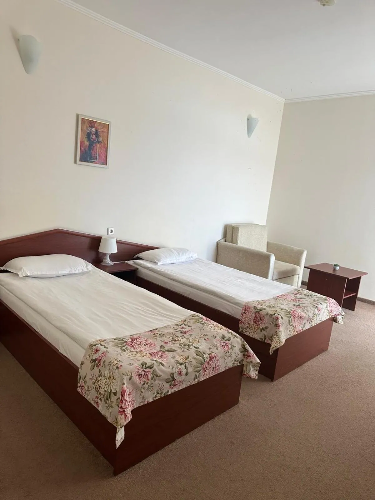 Twin Room in Dafovska Hotel
