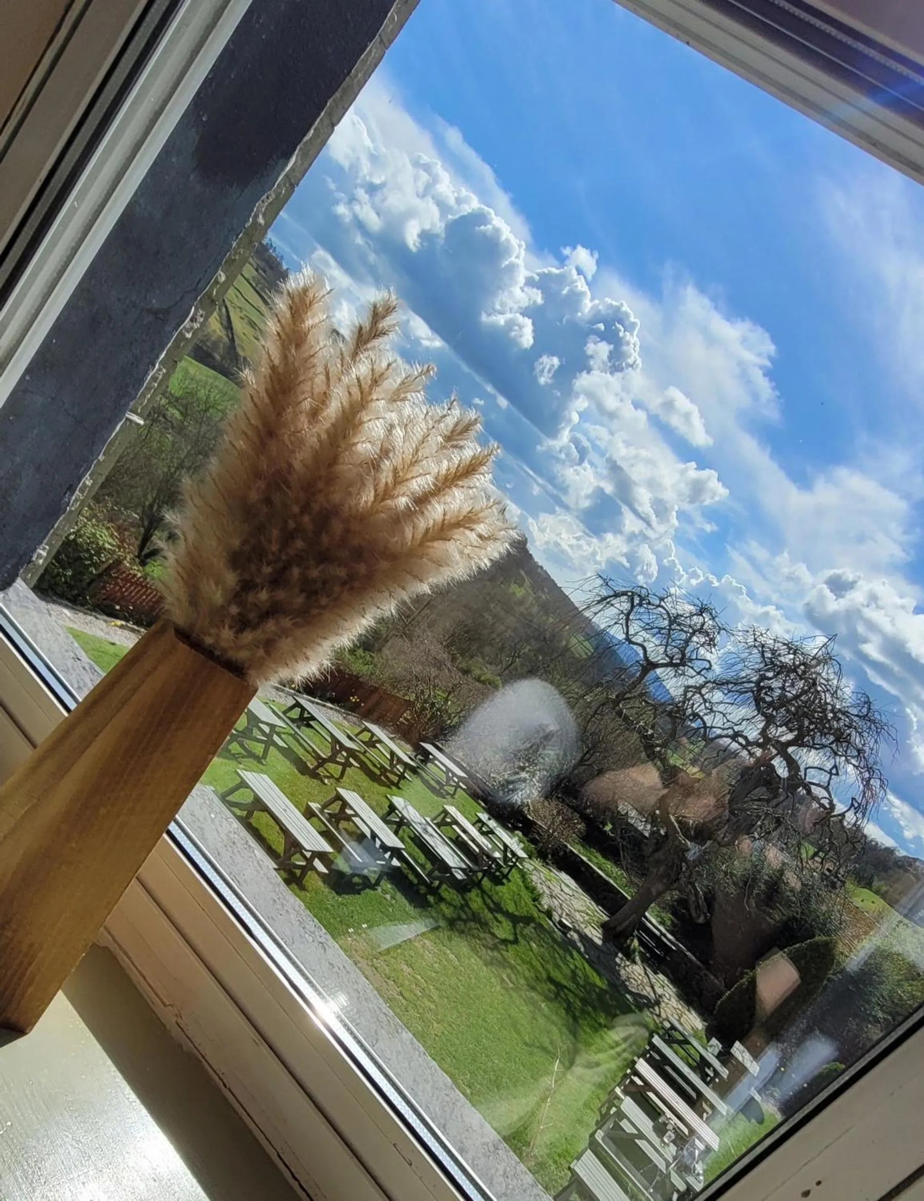 Garden in The Mortal Man Inn