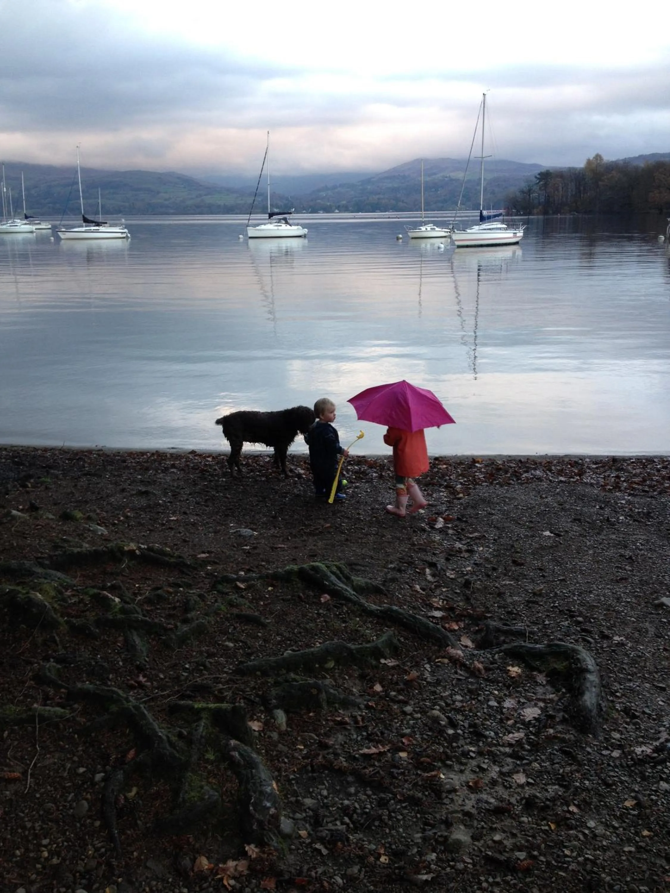 young children in The Cuckoo Brow Inn
