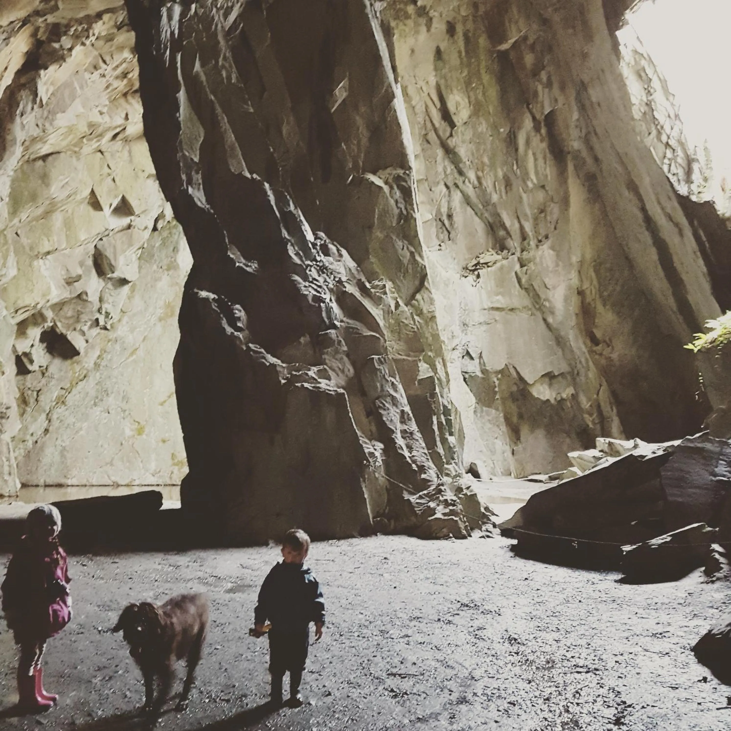 Area and facilities in The Cuckoo Brow Inn