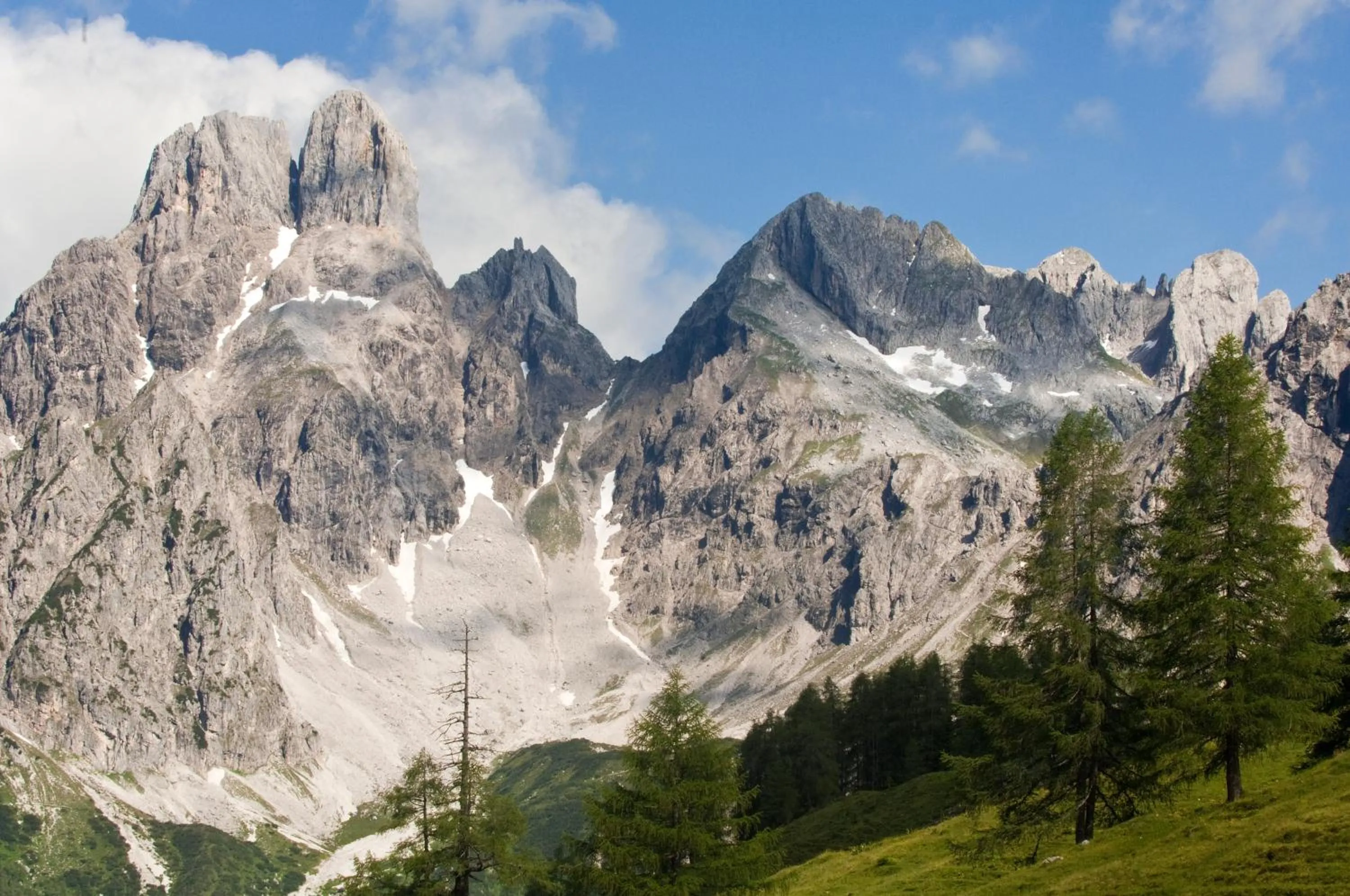 Natural landscape in Das Filzmoos