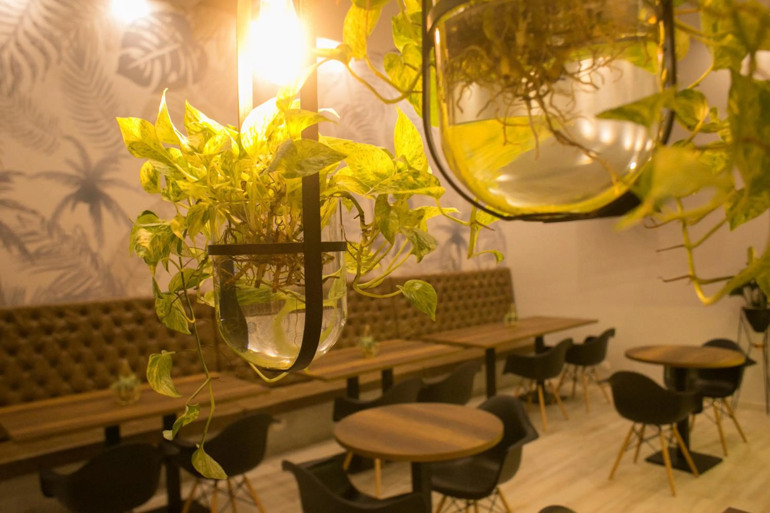 Restaurant/places to eat in Hotel Sexta Avenida Inn