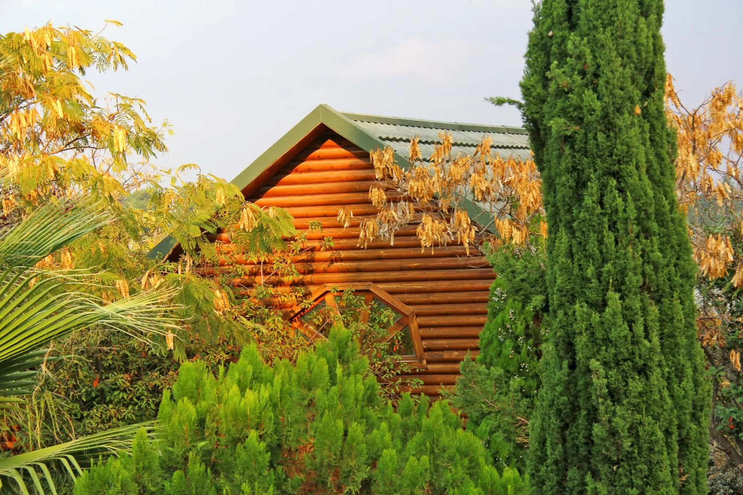 Garden in Rosh Pinat Noy