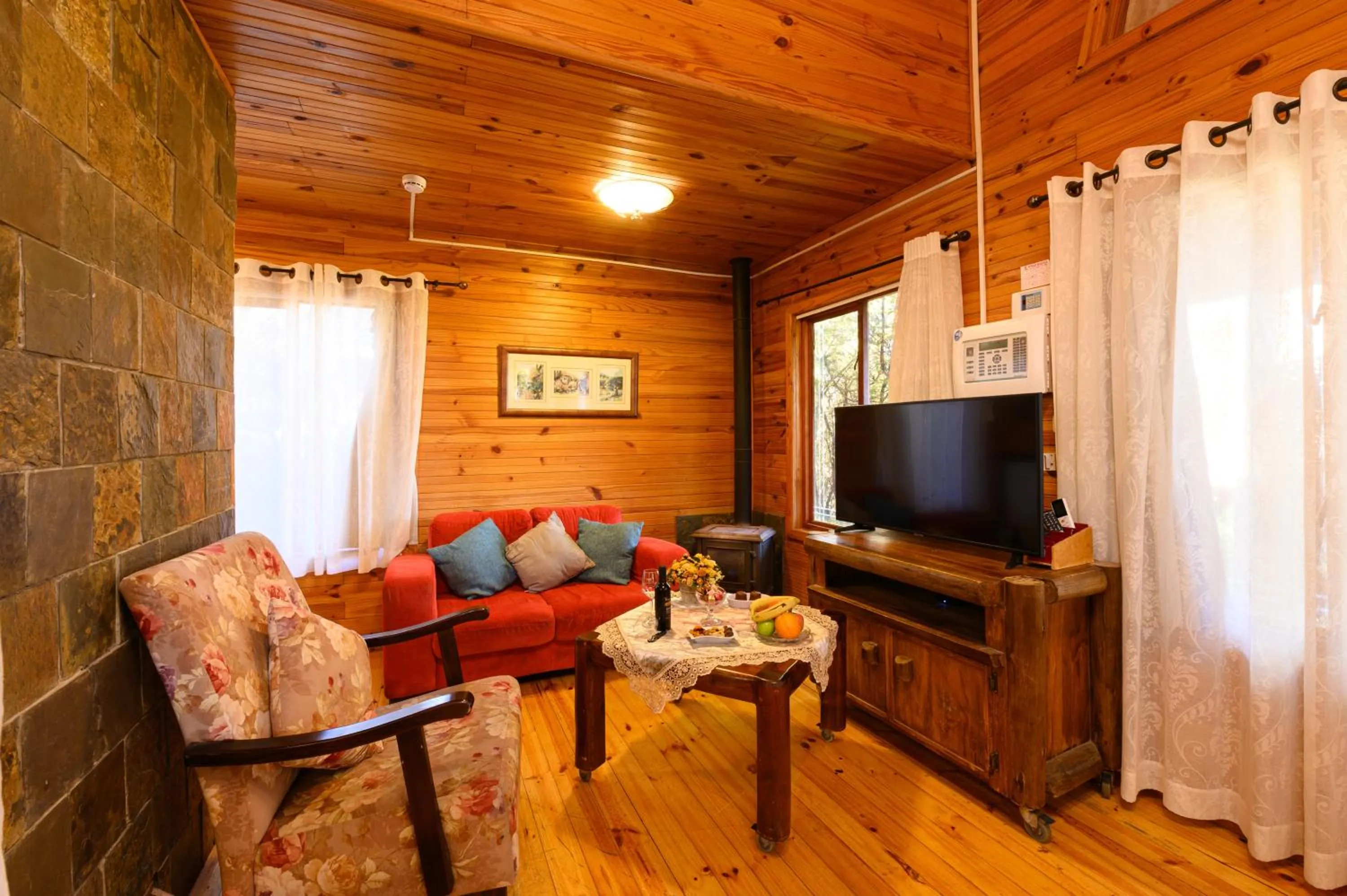 TV and multimedia in Rosh Pinat Noy
