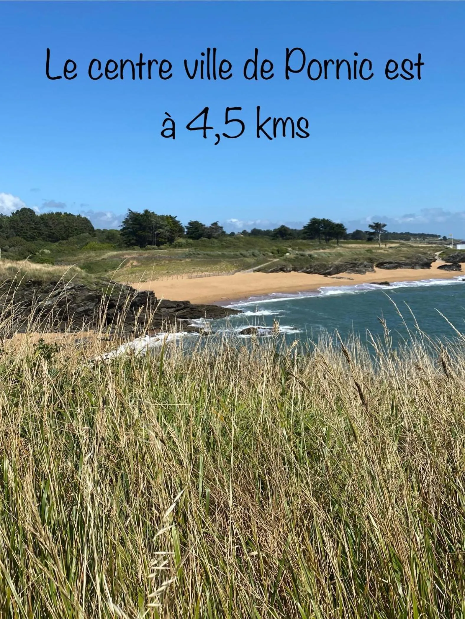 Text overlay in Céline et Olivier