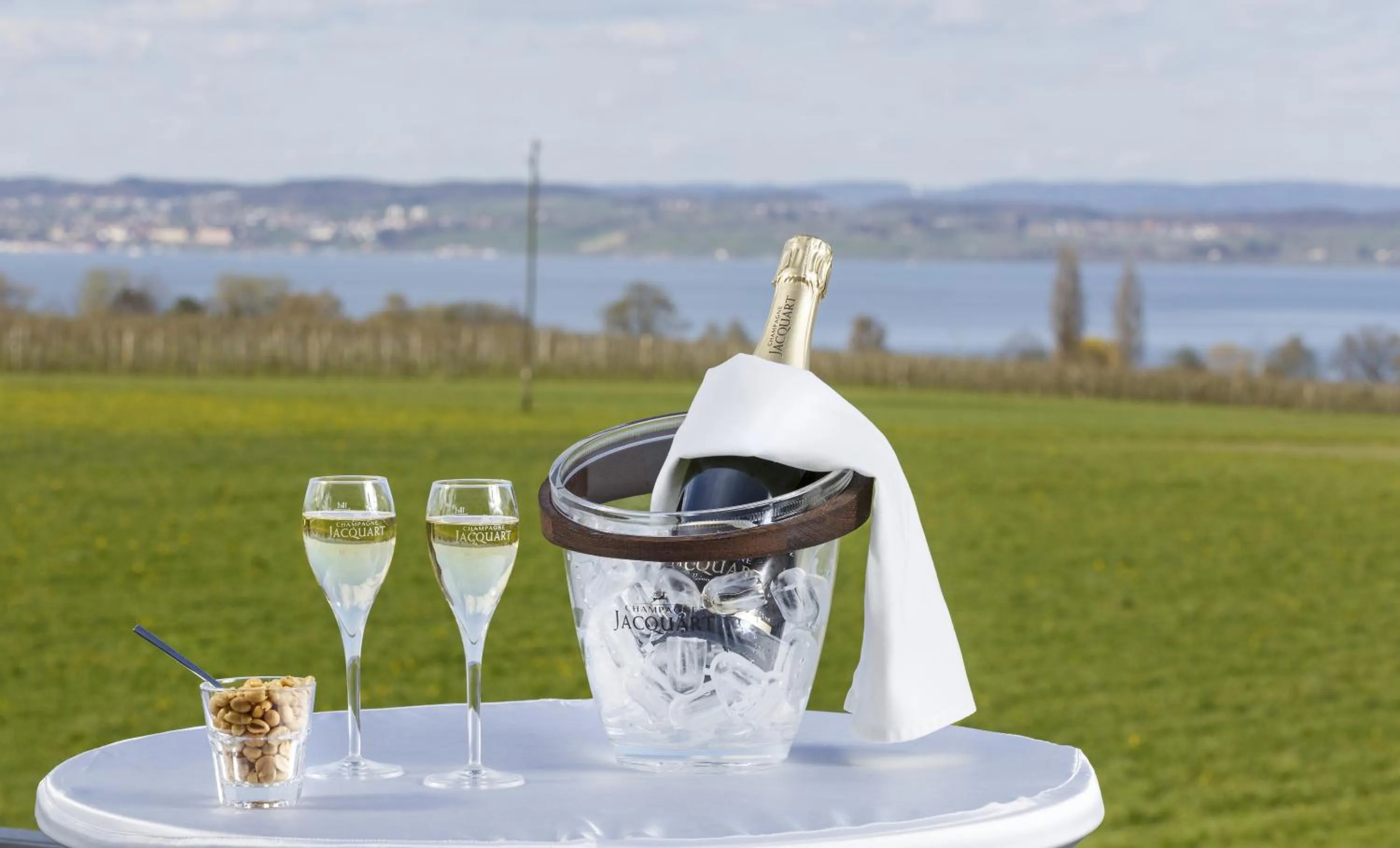 Balcony/Terrace in Seemöwe Swiss Quality Hotel