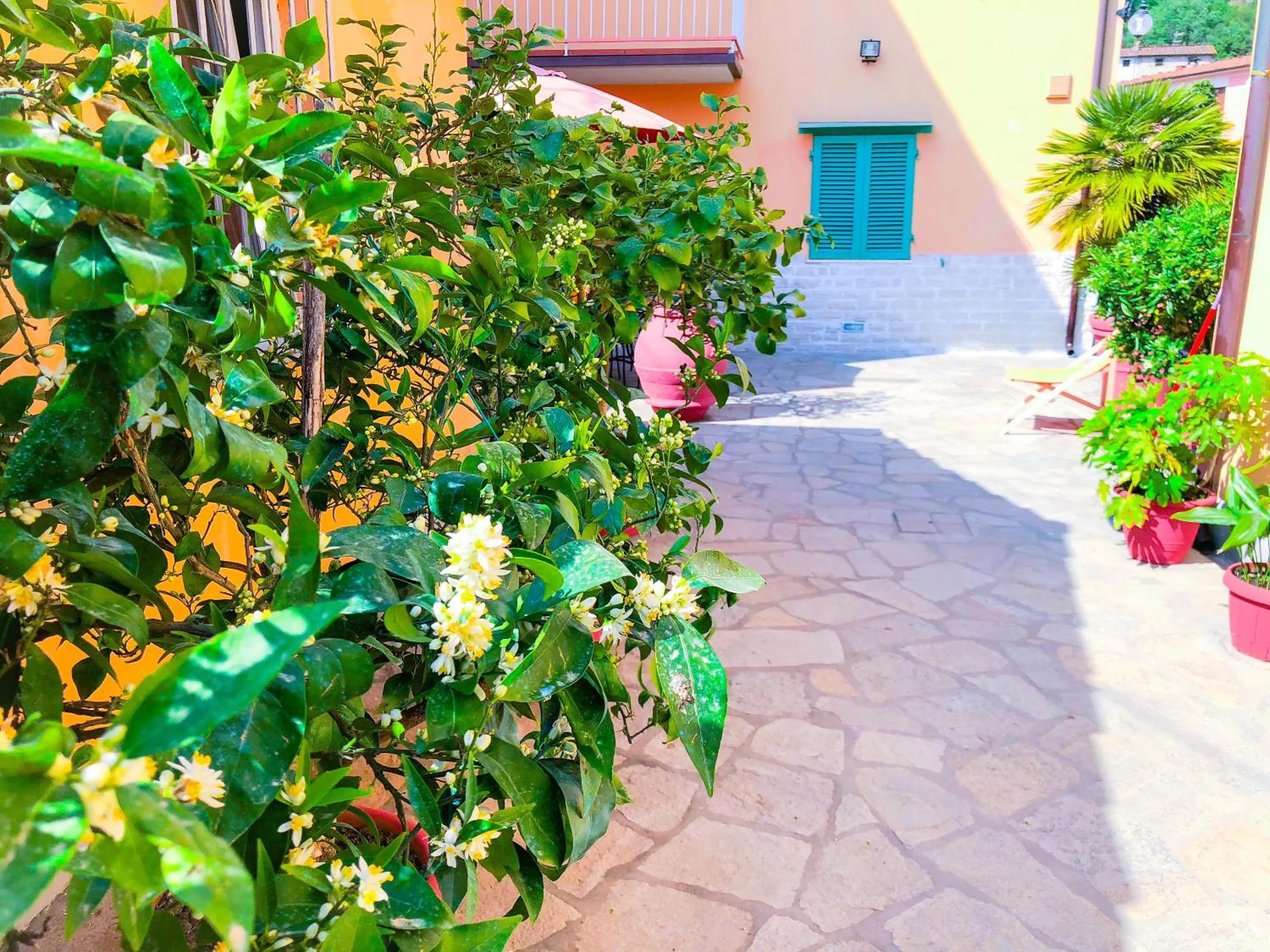 Patio in Cuore di Nozzano Castello