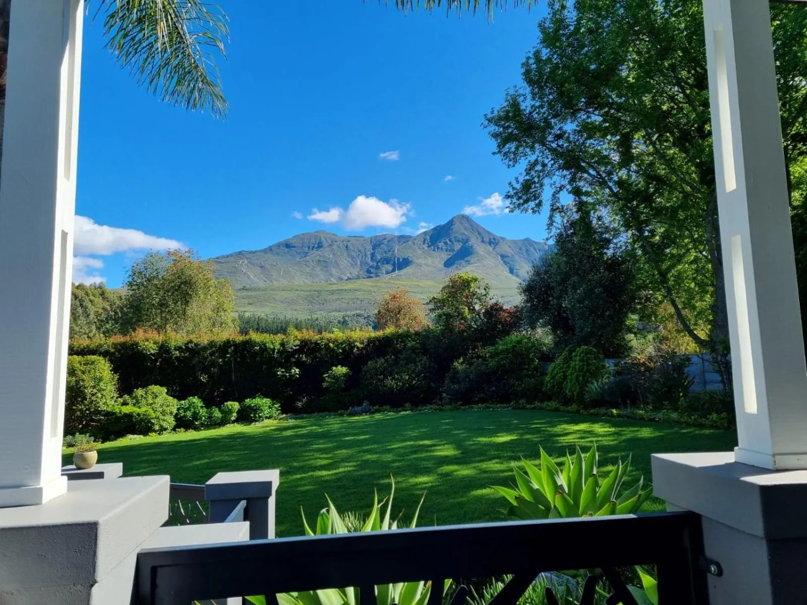 Garden view in Amour Guest House