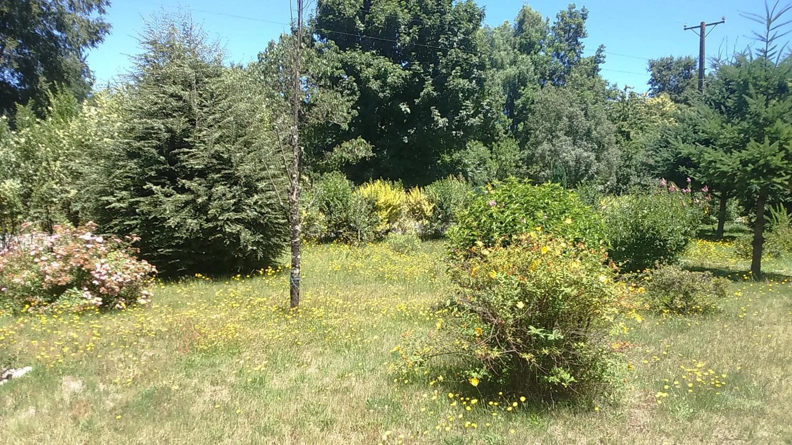 Cabaña Camino al Volcán