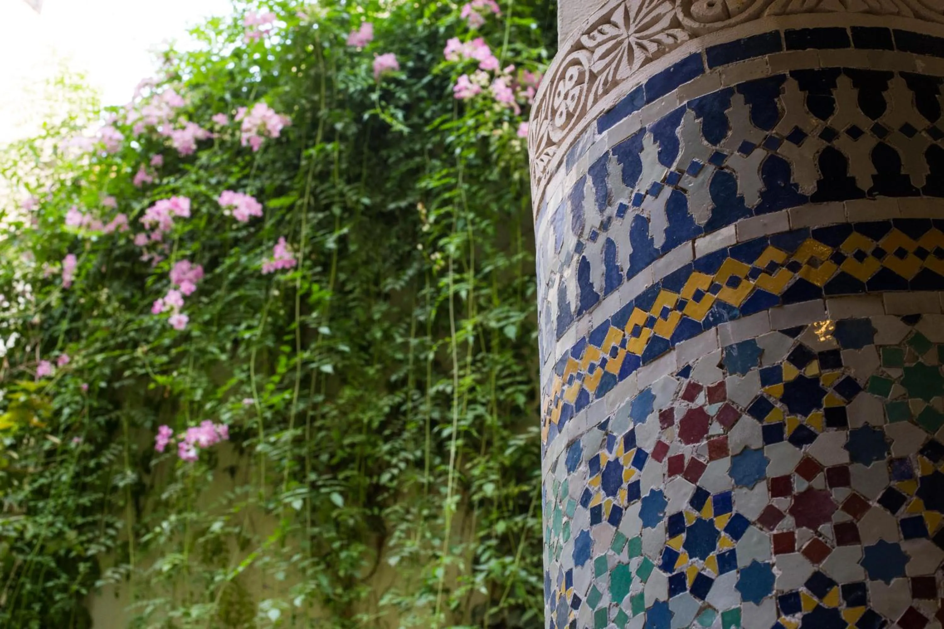 Restaurant/places to eat in Riad Jardin Chrifa