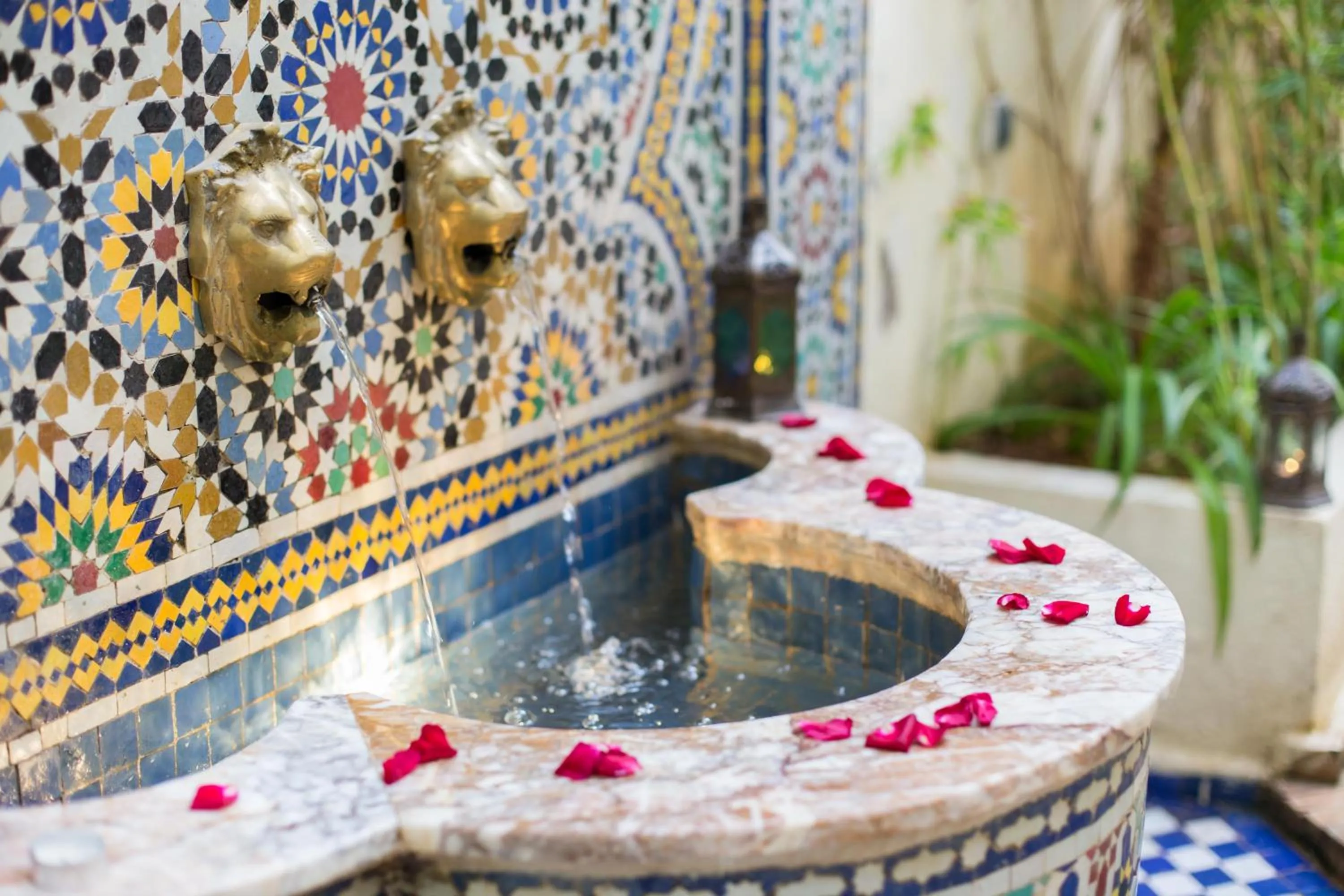 Patio in Riad Jardin Chrifa