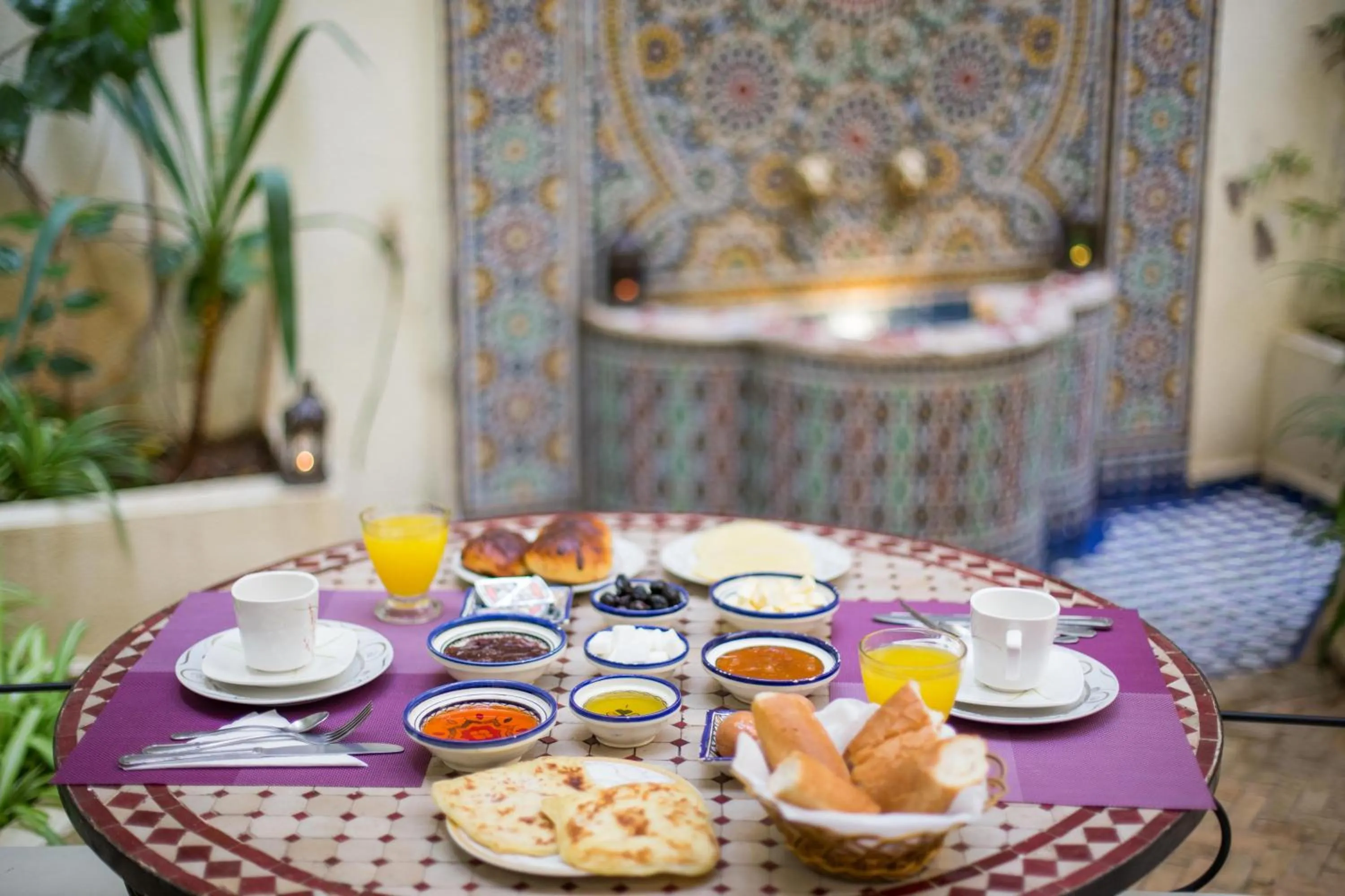 Garden in Riad Jardin Chrifa