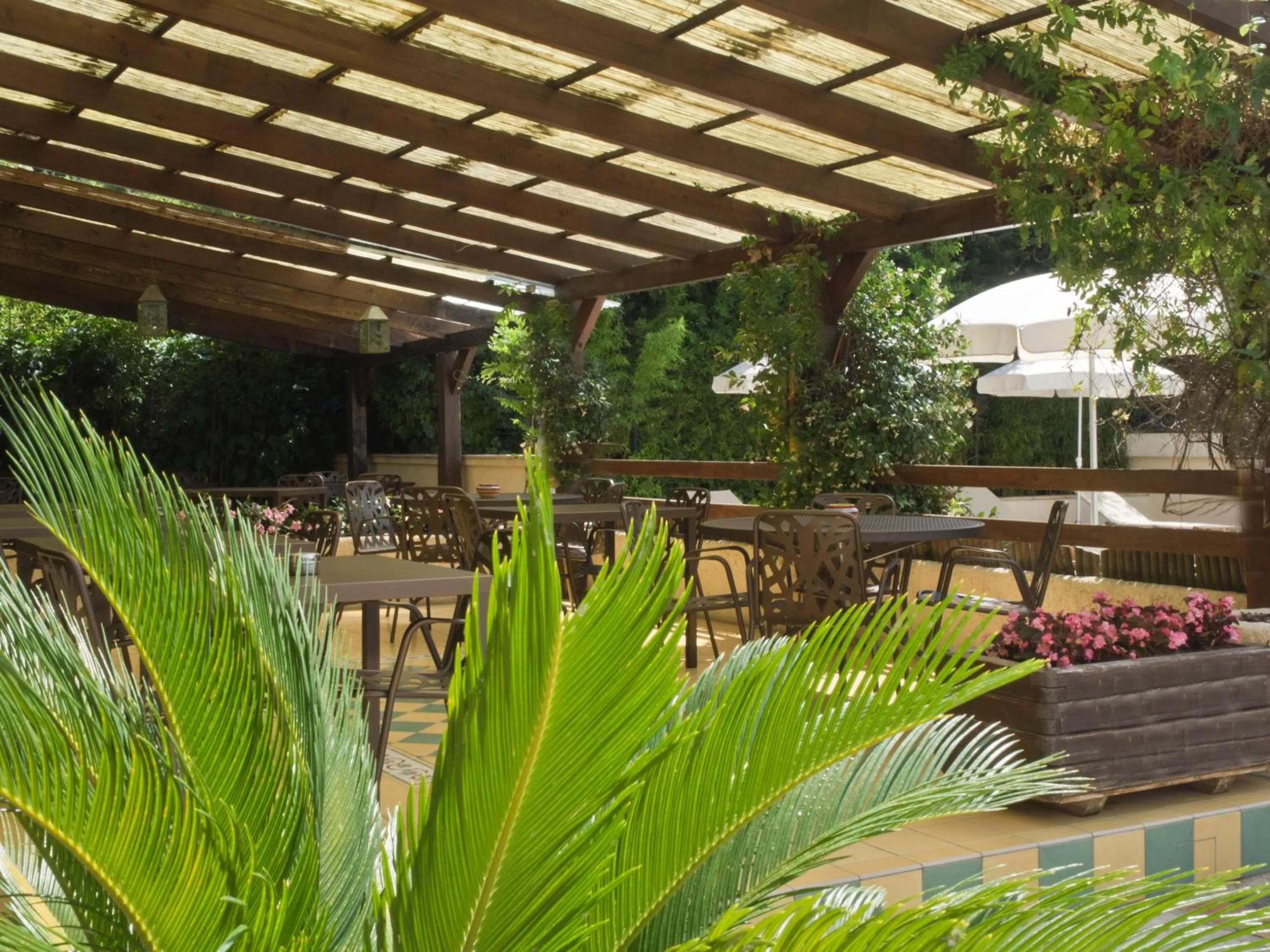 Balcony/Terrace in Hotel Les Oliviers