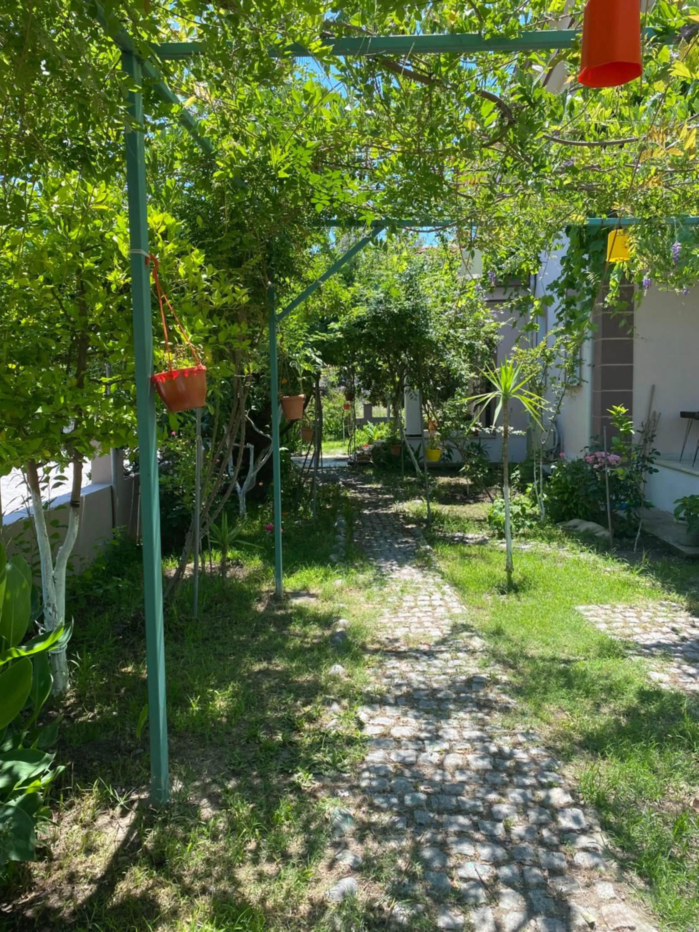 Garden in Villa Balım