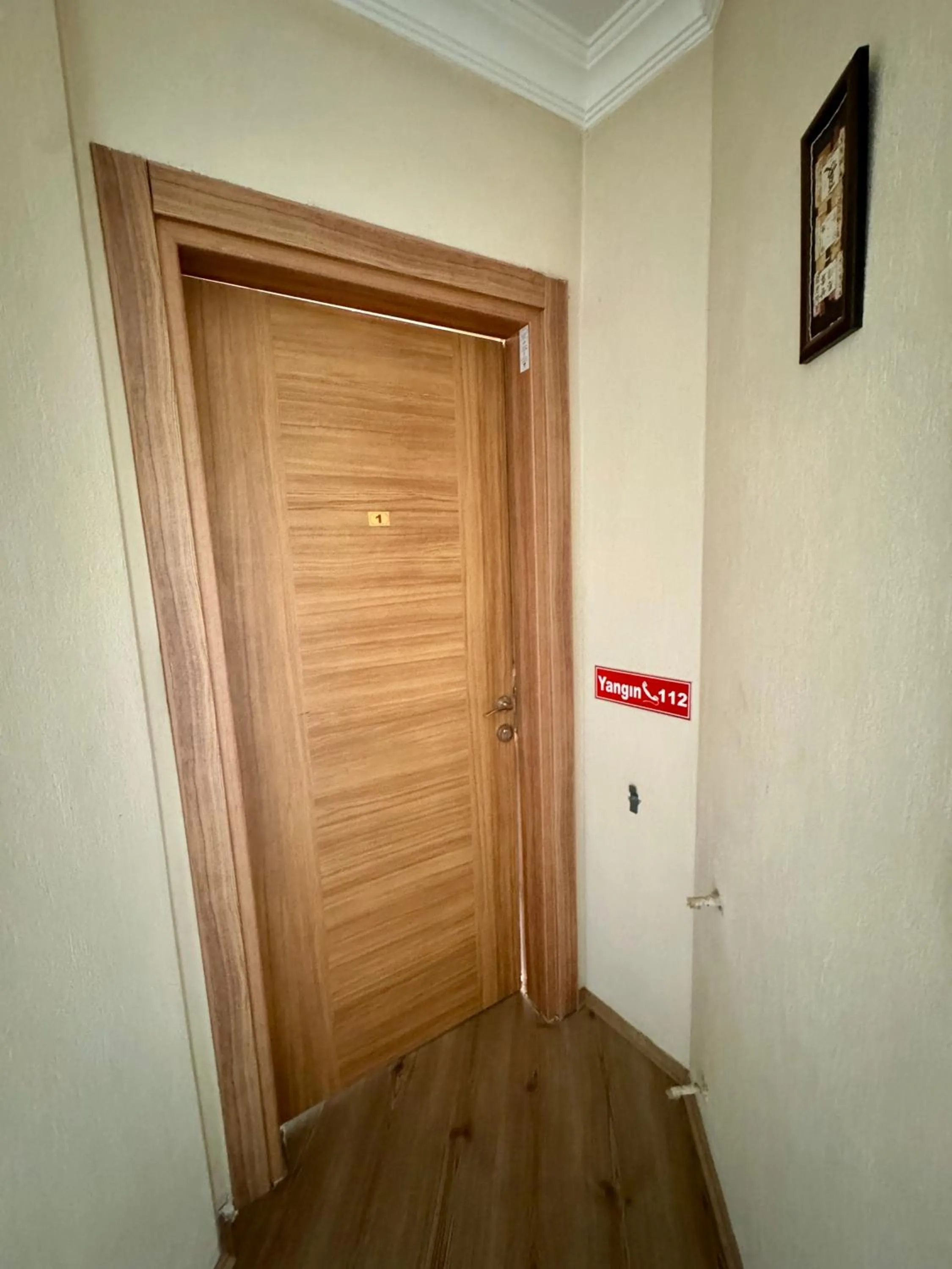 Photo of the whole room in Villa Balım