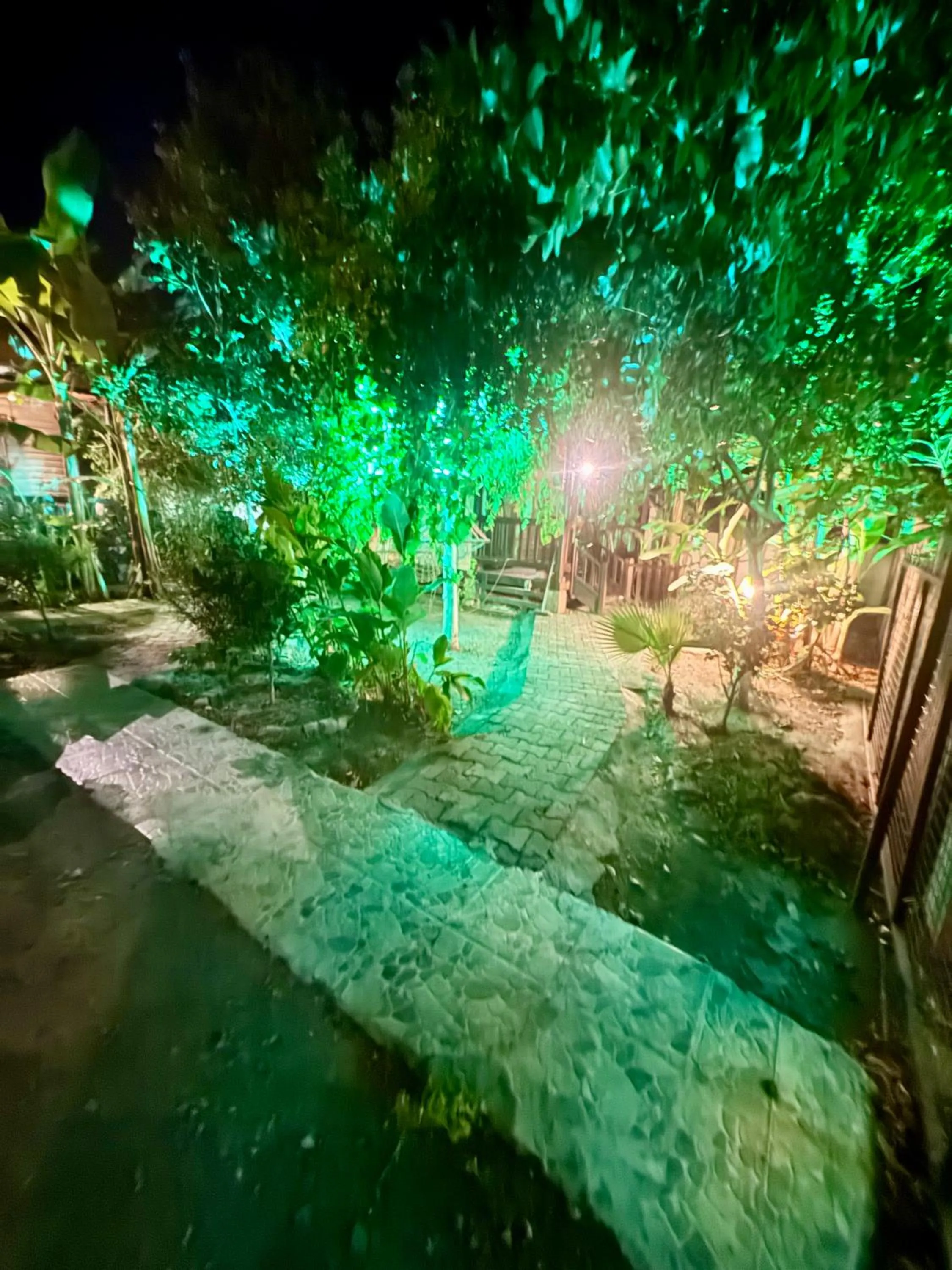 Night in Villa Balım