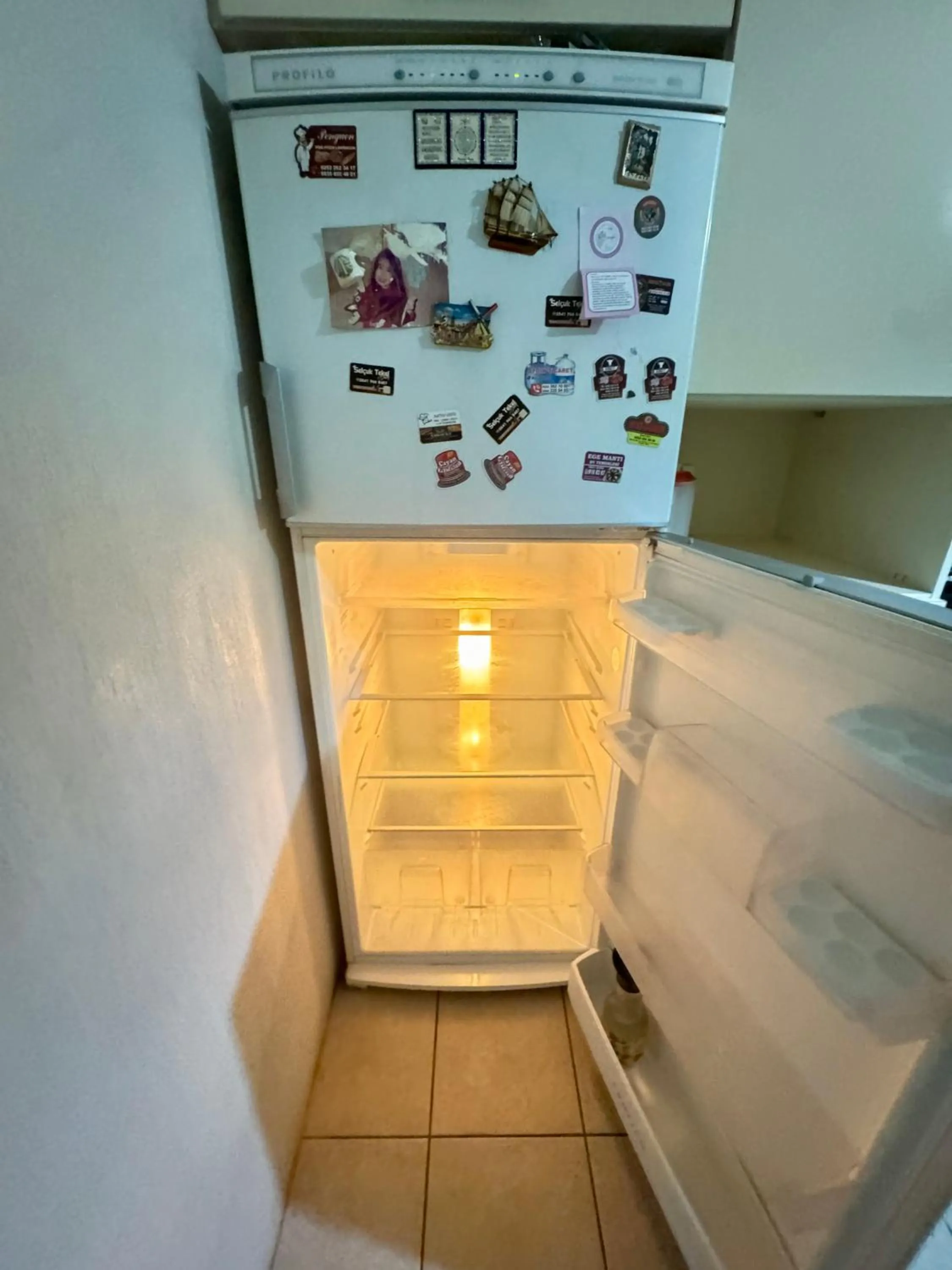 Kitchen or kitchenette in Villa Balım