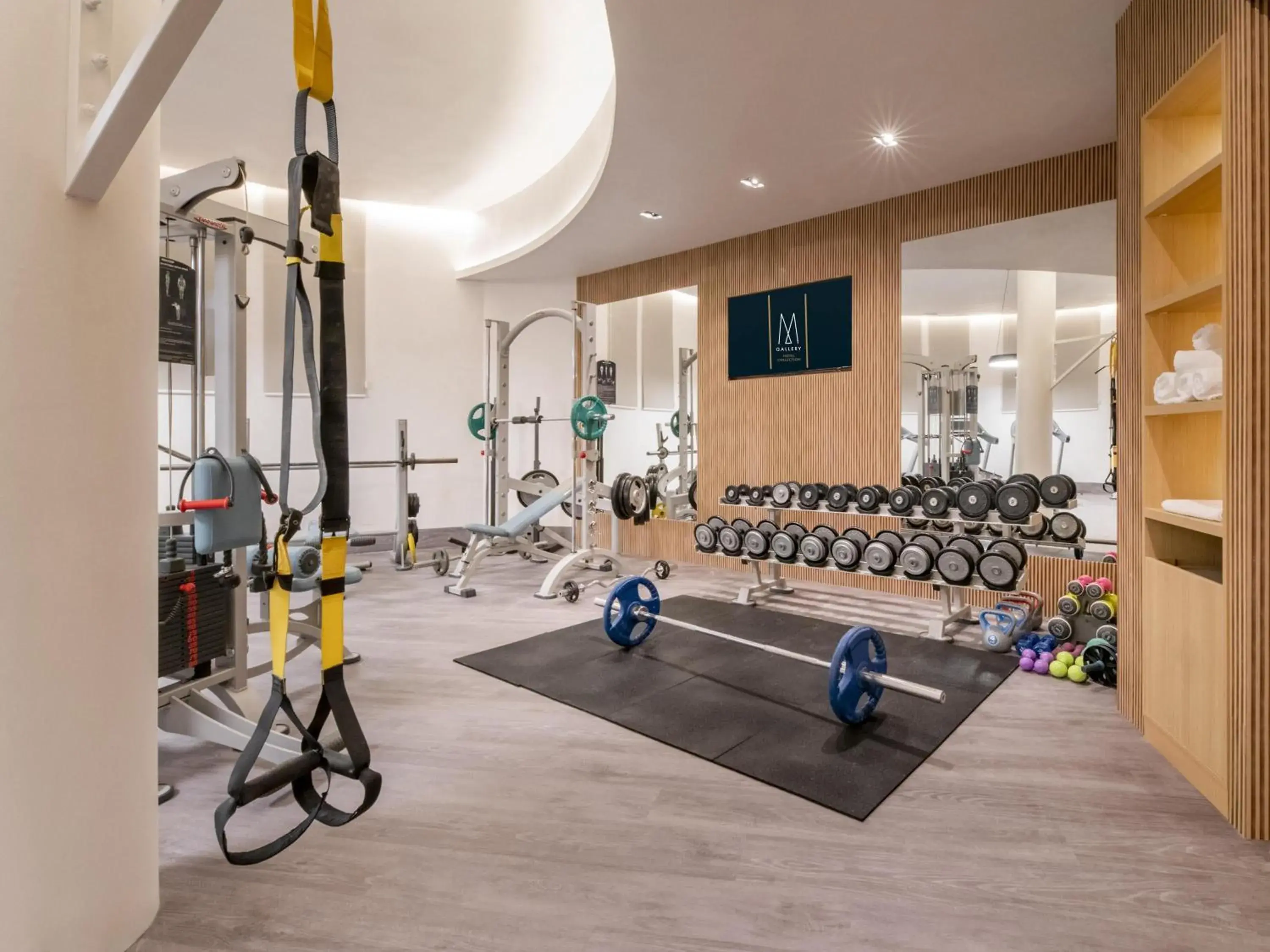 Fitness centre/facilities in Maison Sofia - MGallery Fitness centre/facilities in Maison Sofia - MGallery