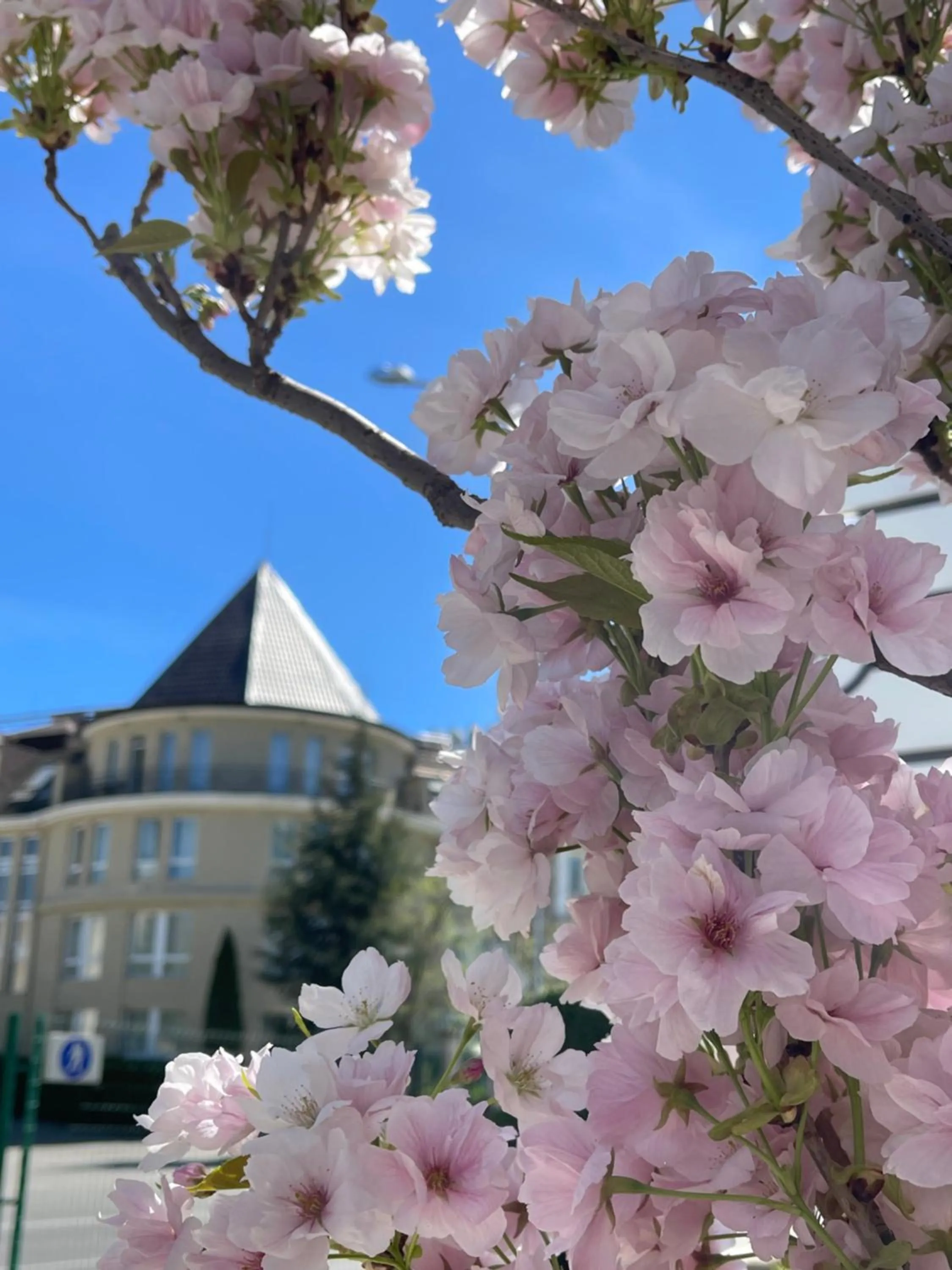 Property building in Maison Sofia - MGallery