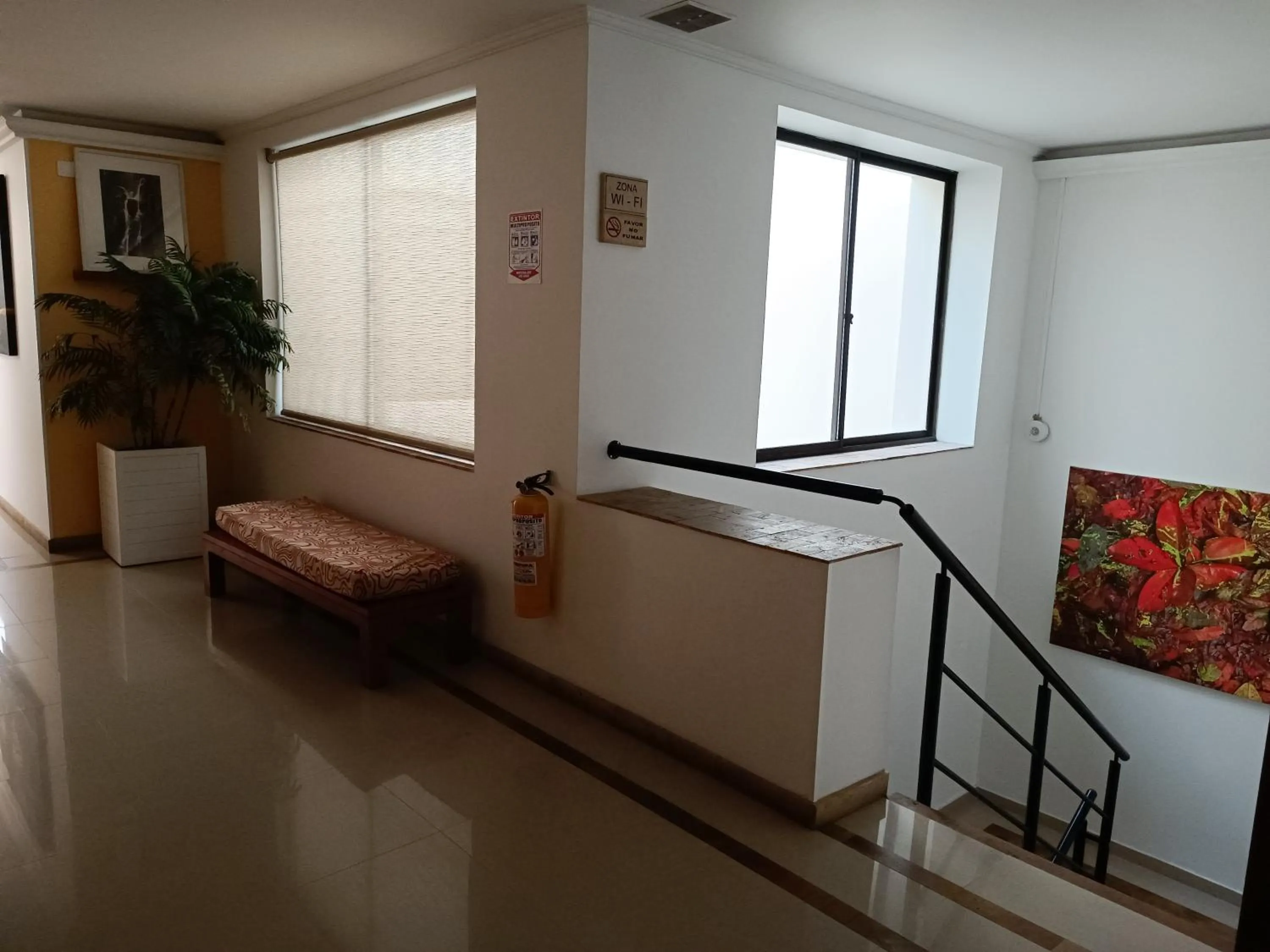 Area and facilities in Hotel Boutique Confort Suites