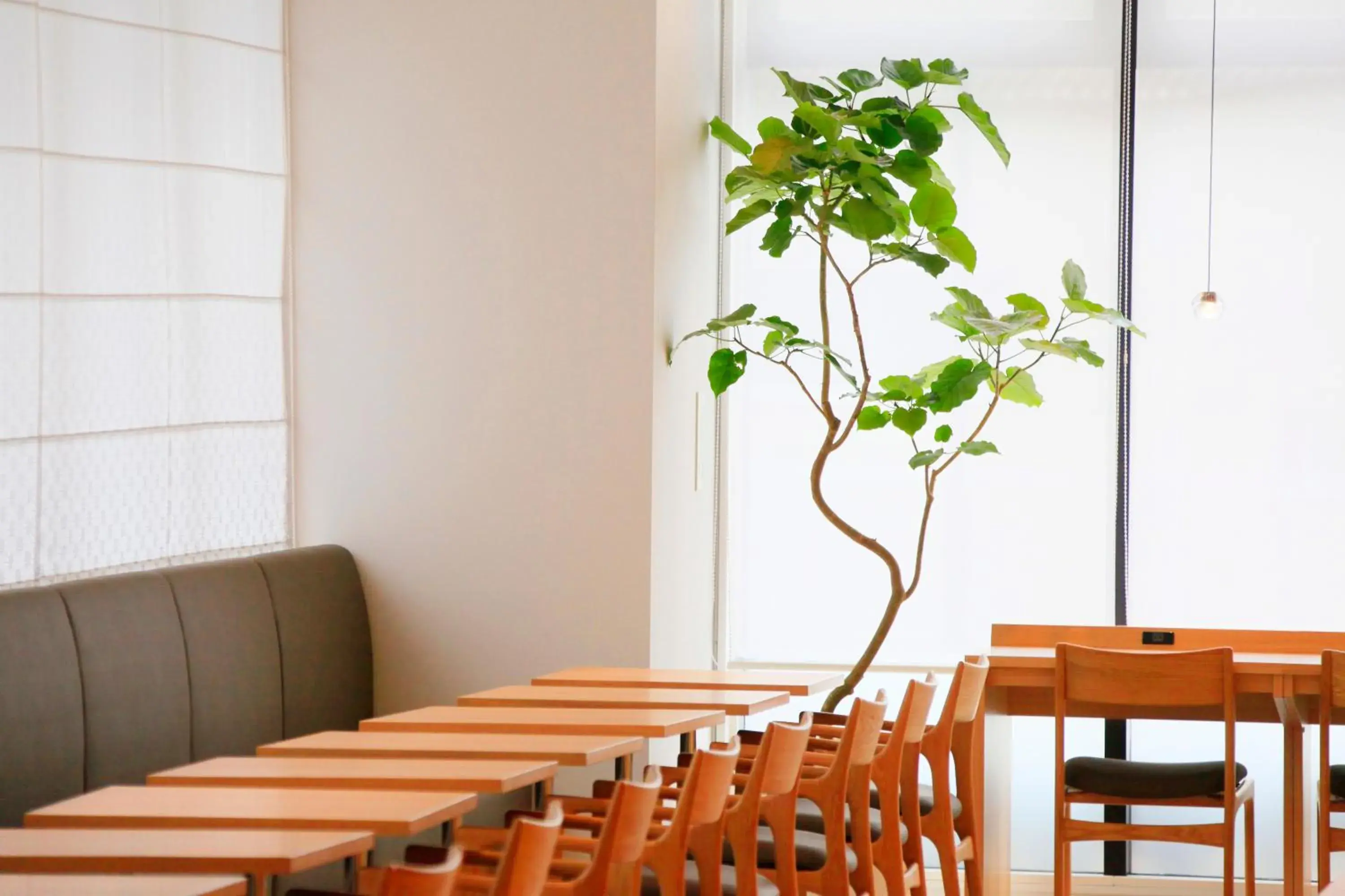 Restaurant/places to eat in Richmond Hotel Himeji Restaurant/places to eat in Richmond Hotel Himeji