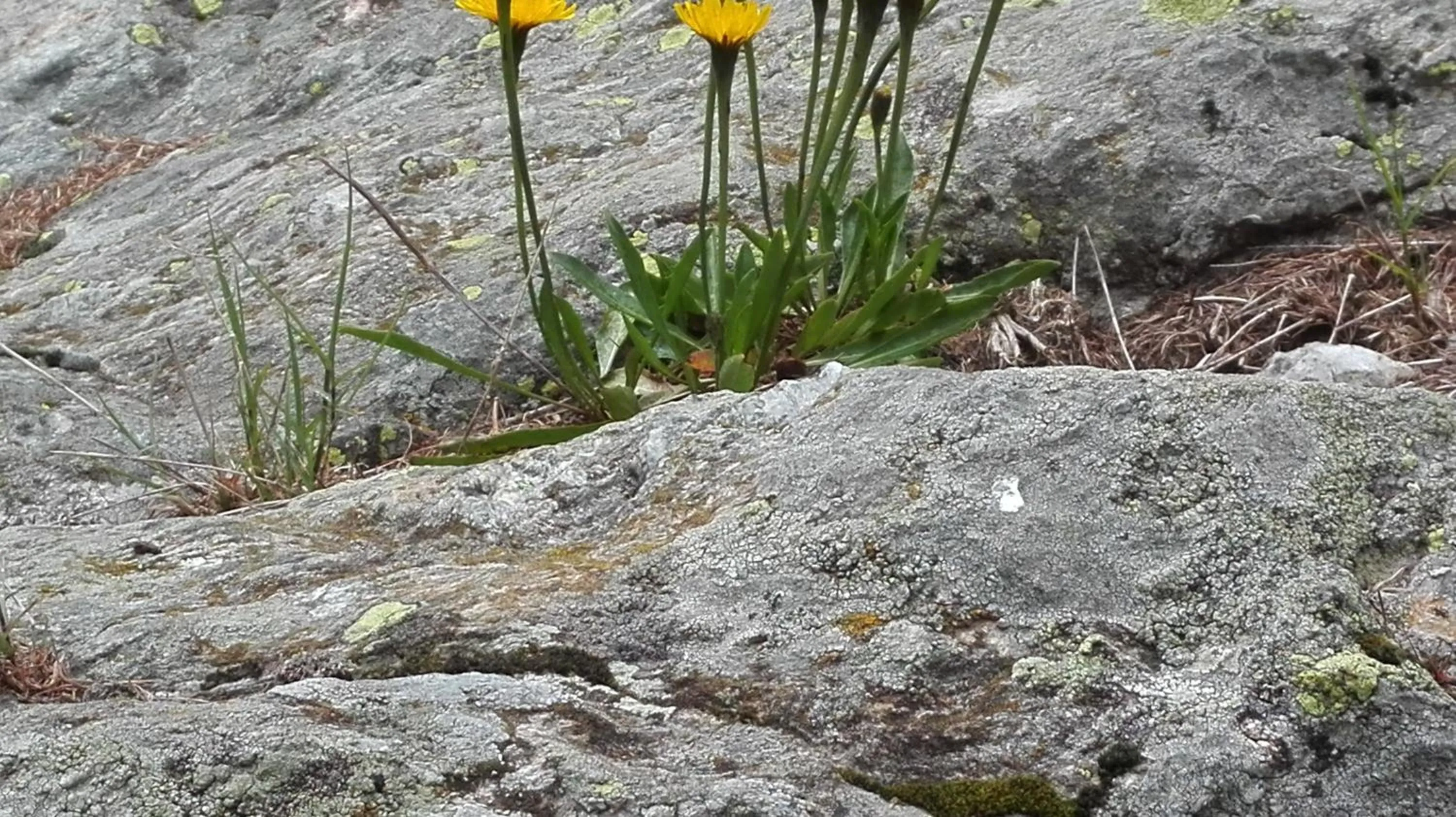 Day in B&B Corte Rossa