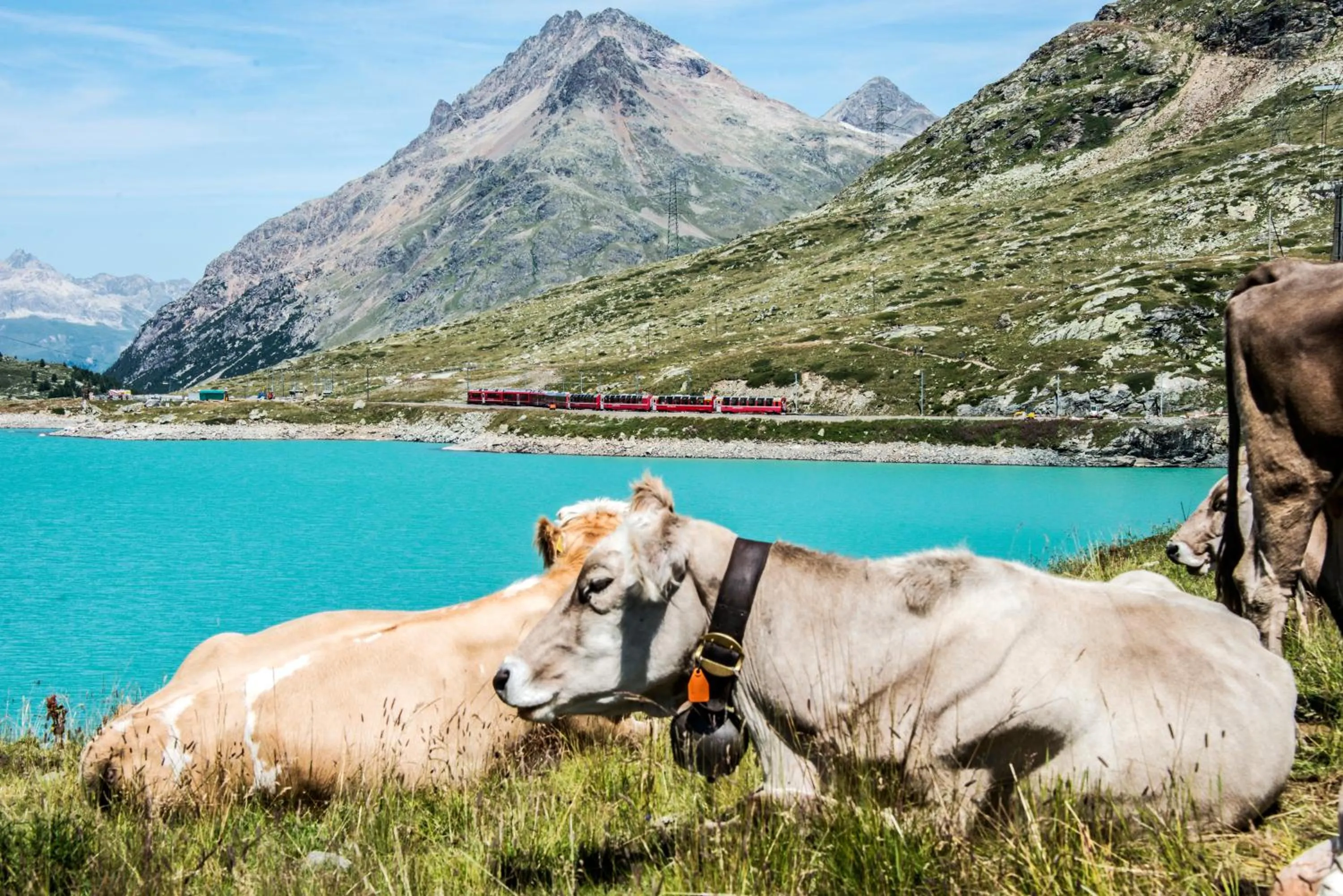 Day in B&B Corte Rossa