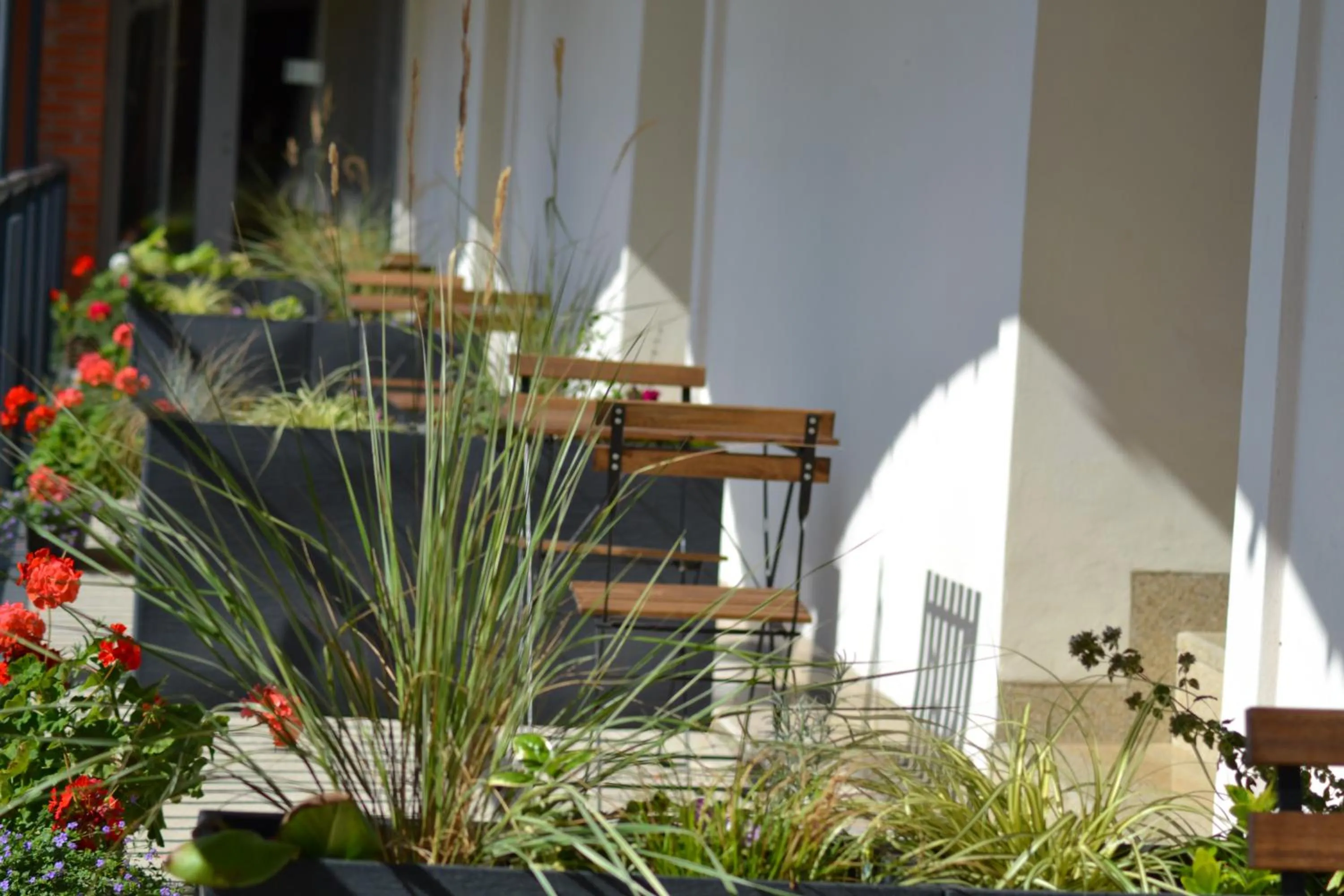 Balcony/Terrace in Hotel Antoň