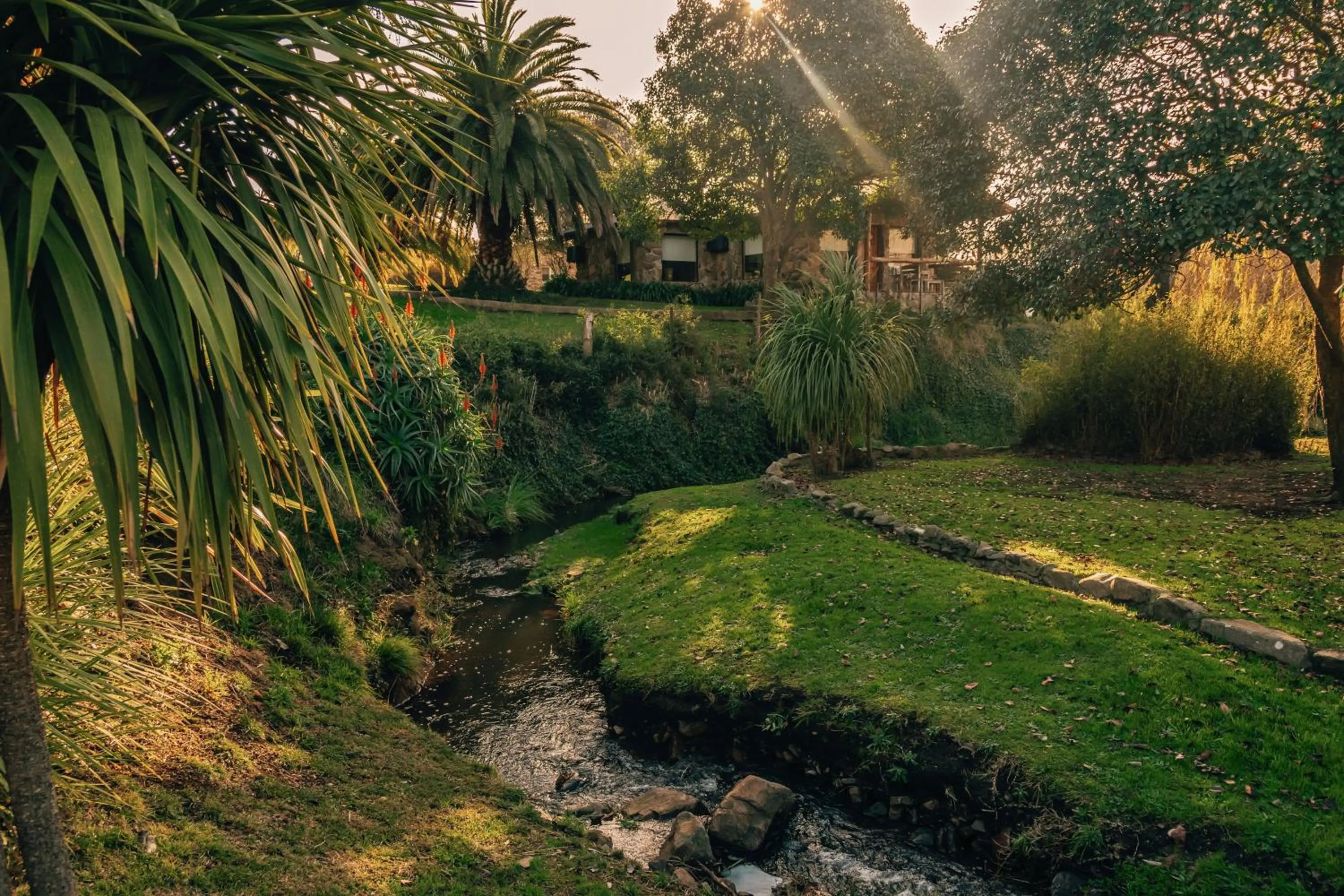 Natural landscape in Hostería & Spa De La Cascada