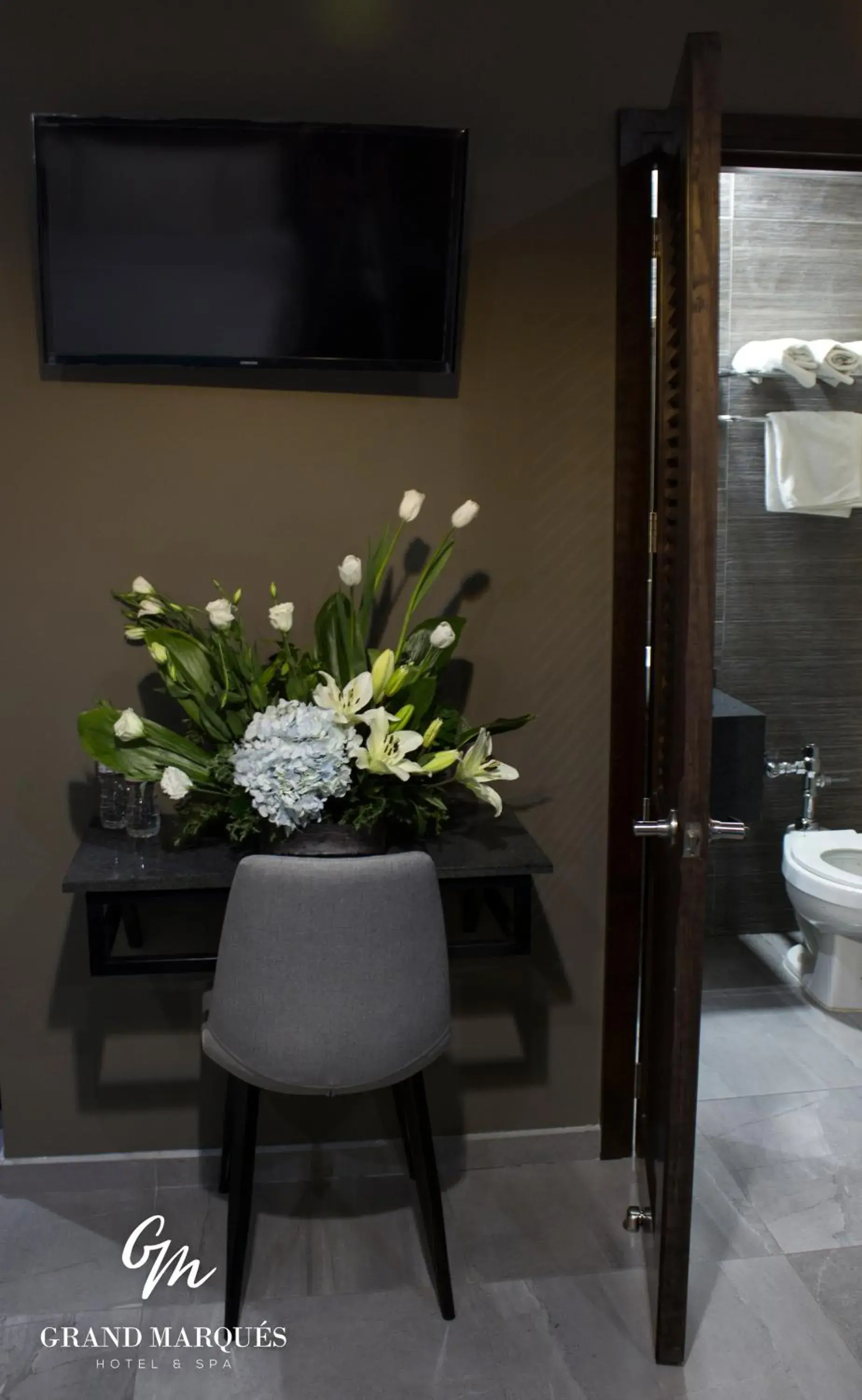 TV and multimedia in Grand Marques TV and multimedia in Grand Marques