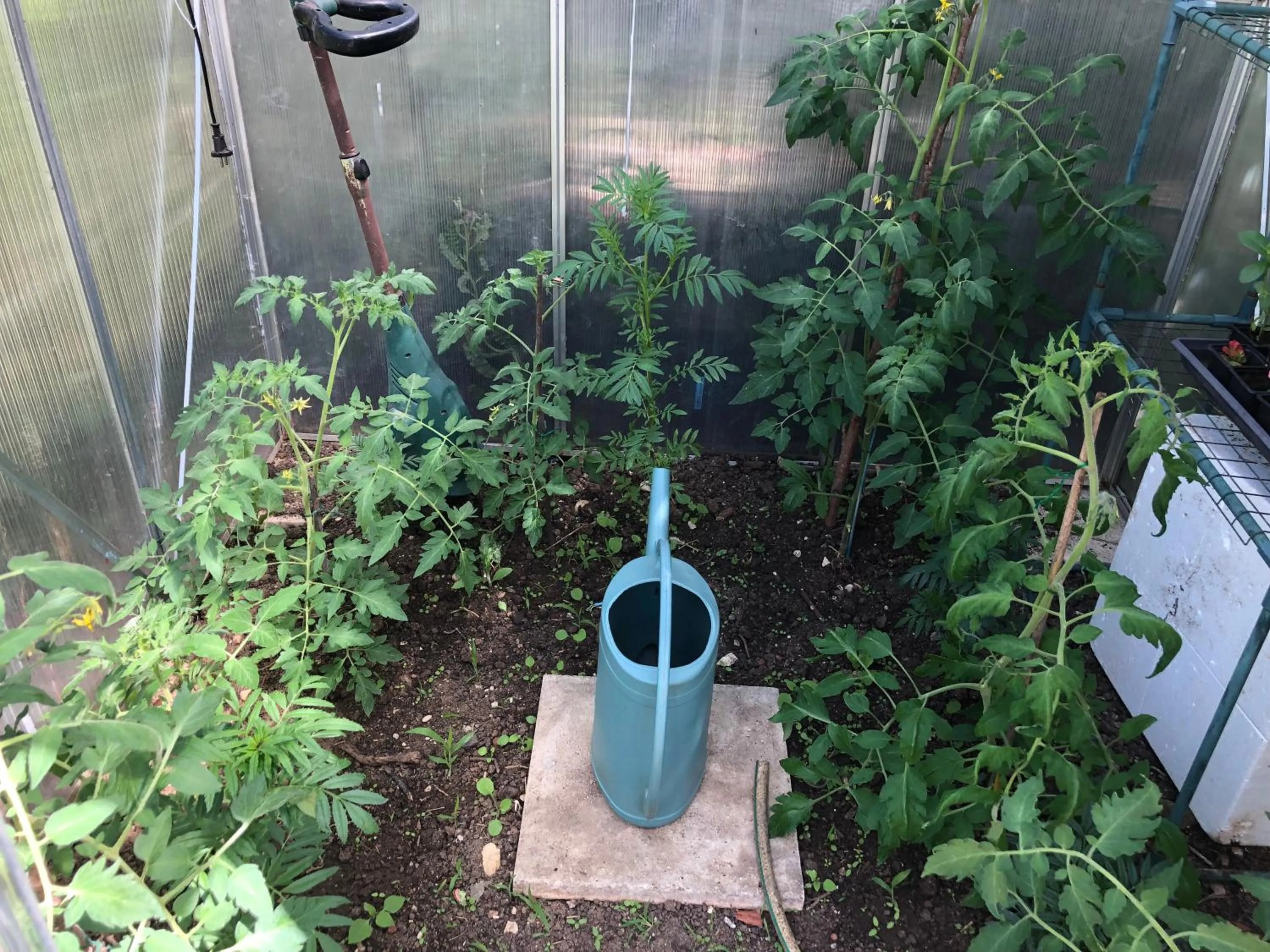 Garden in Les Tilleuls Montbeliard Sud Audincourt