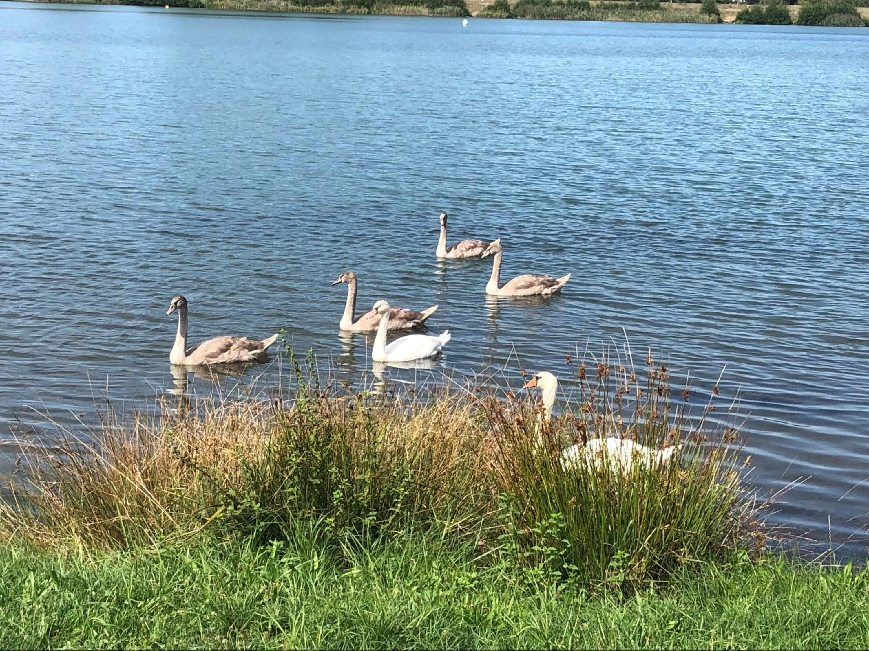 Off site in Les Tilleuls Montbeliard Sud Audincourt