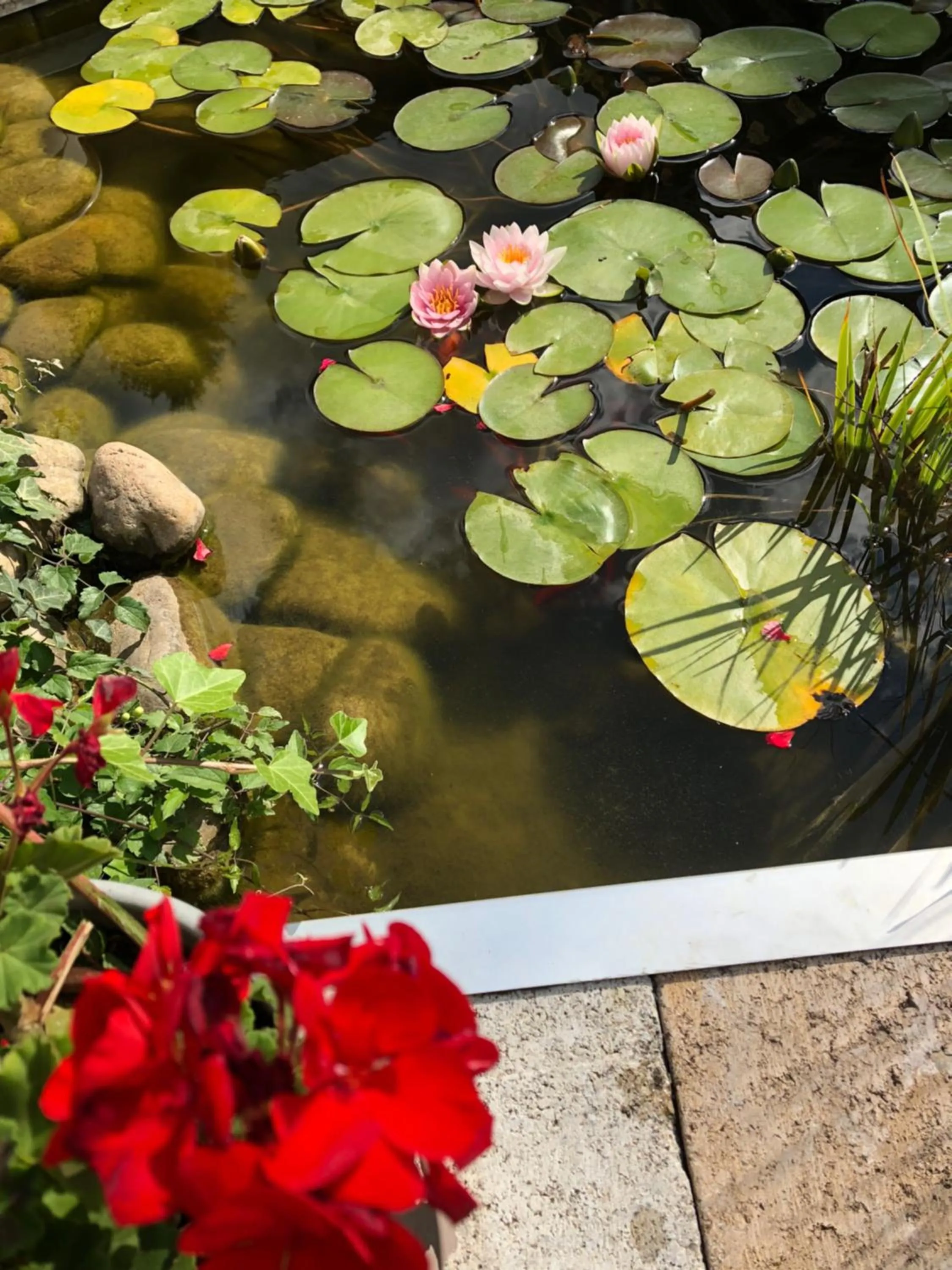 Decorative detail in Les Tilleuls Montbeliard Sud Audincourt