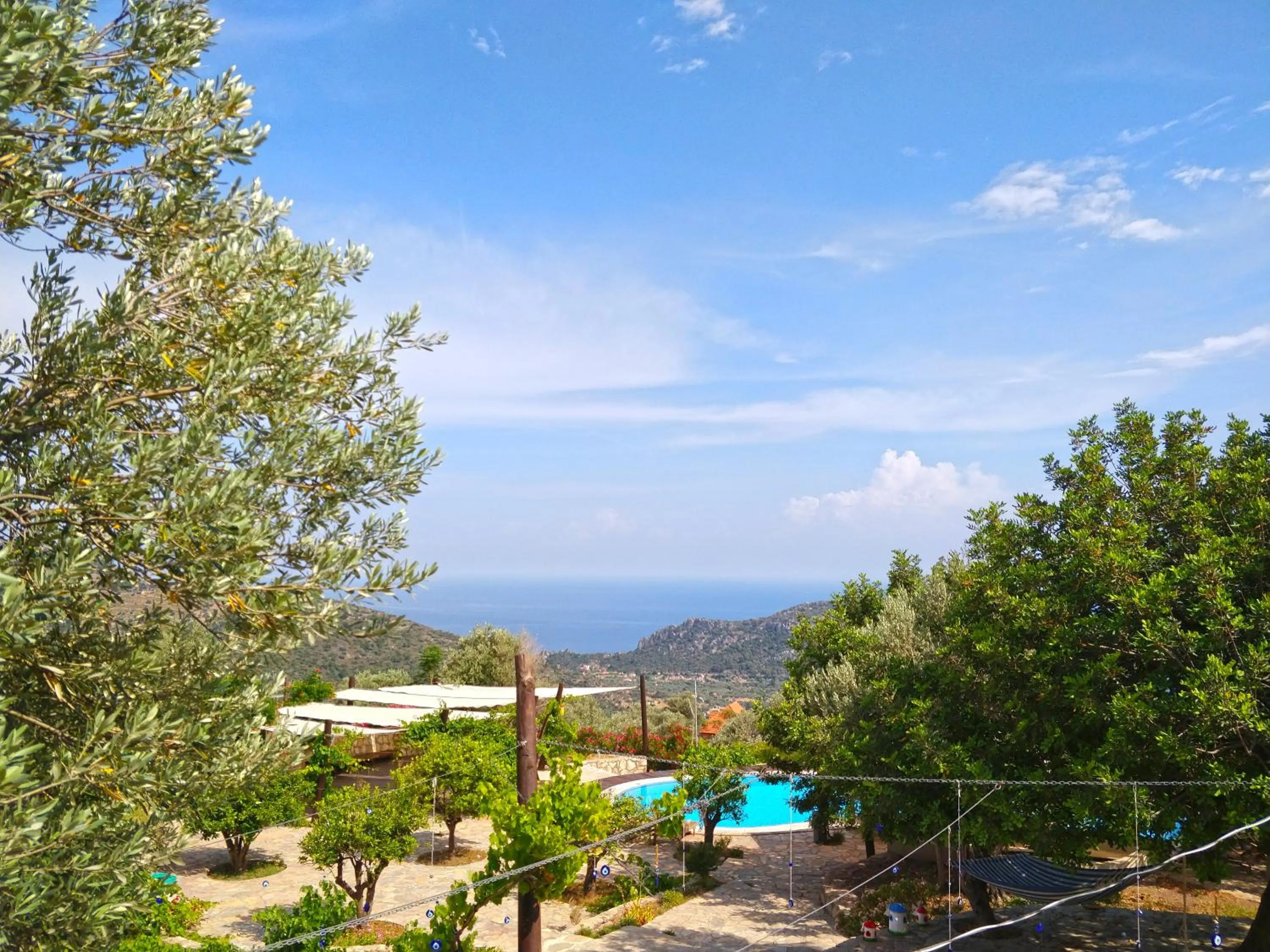 Garden in Zephyros Hotel