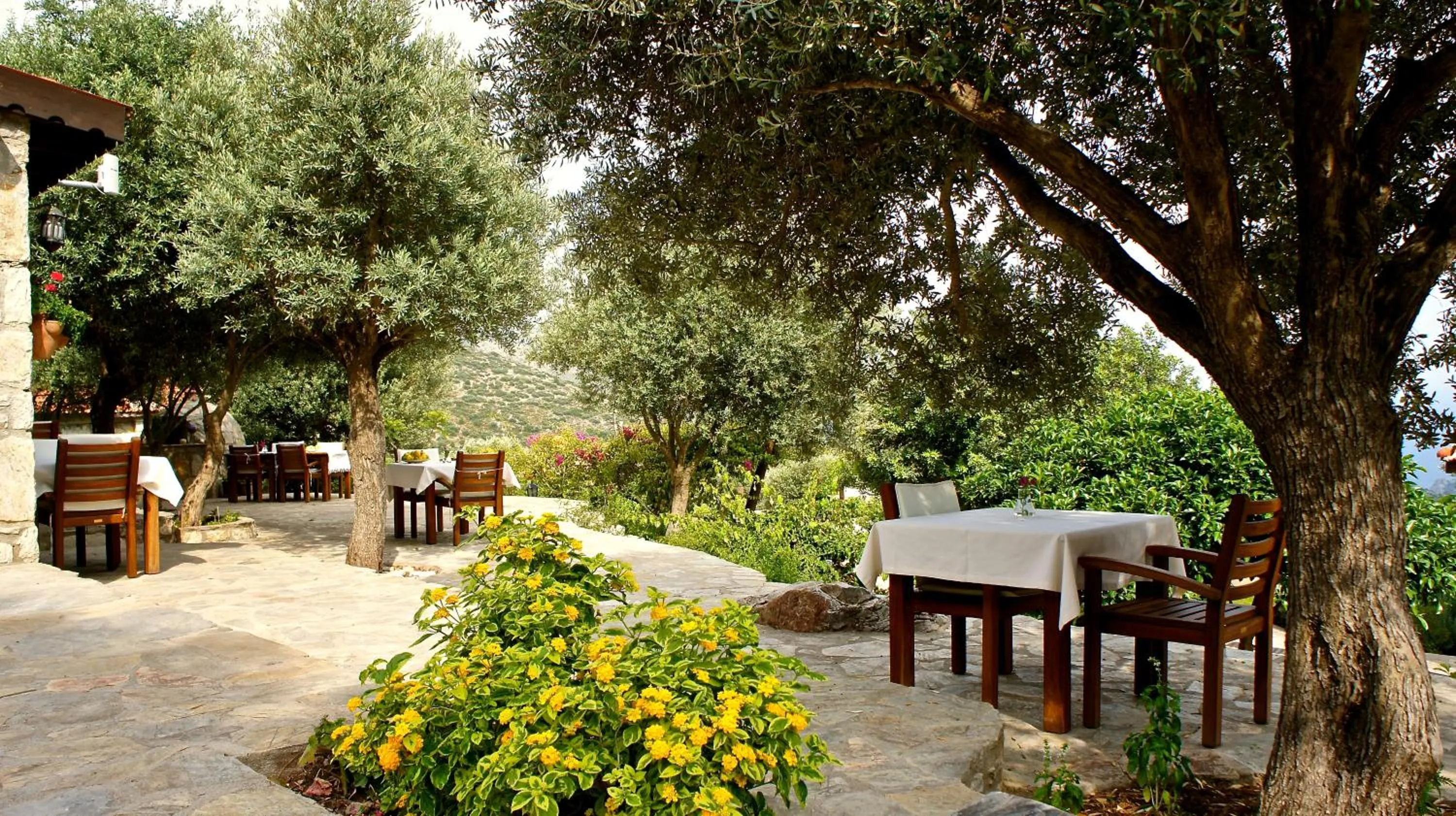 Restaurant/places to eat in Zephyros Hotel