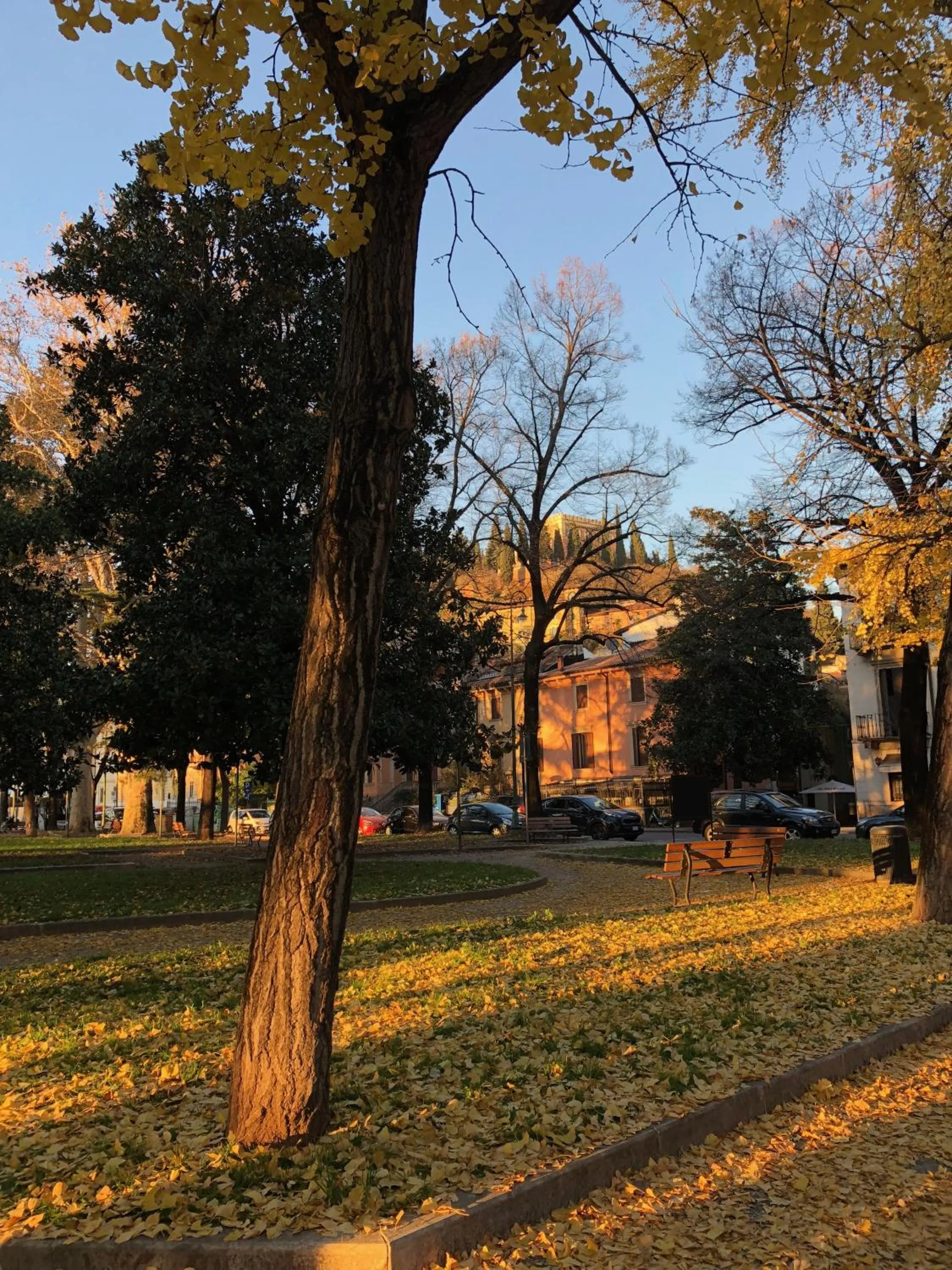 Natural landscape in Residenza San Faustino