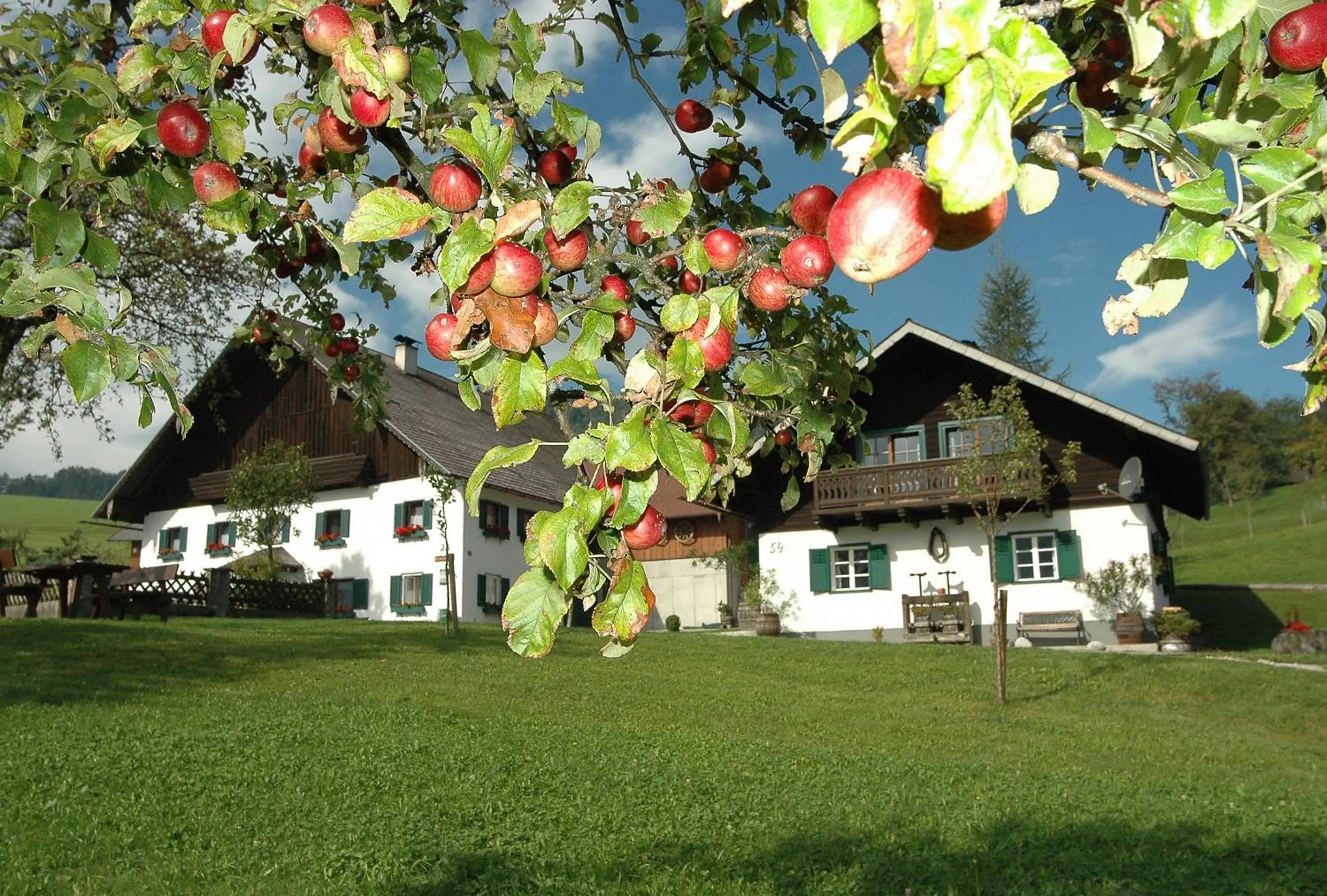 Property building in Ferienhof Margarethengut