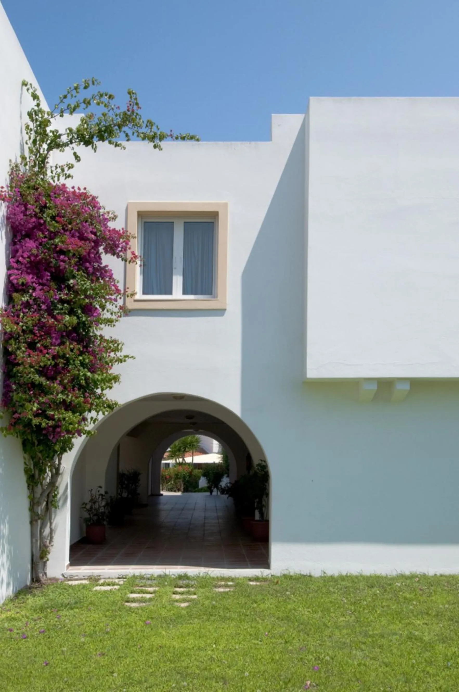 Garden in Alexandra Beach