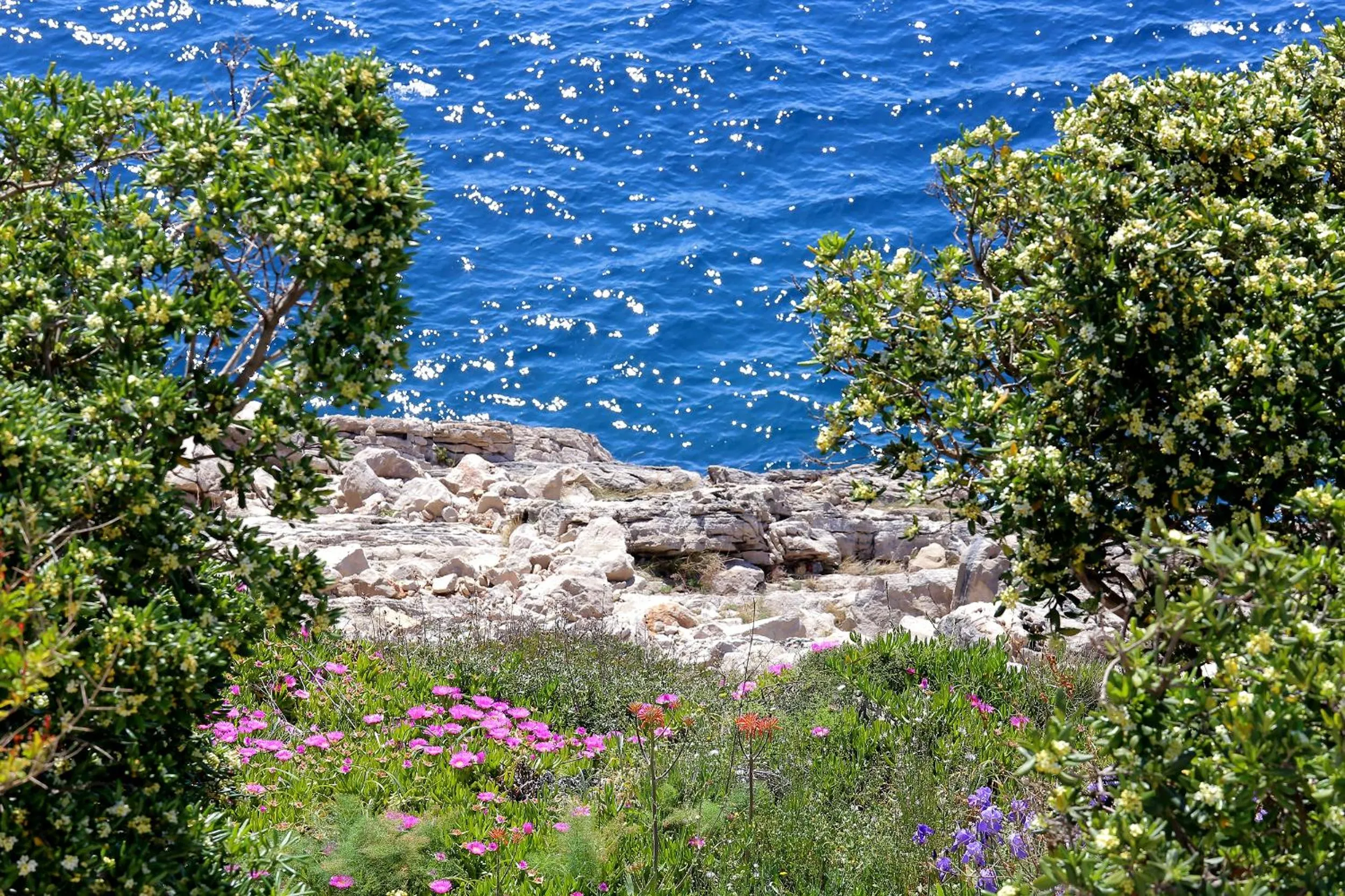 Sea view in Kate's Place